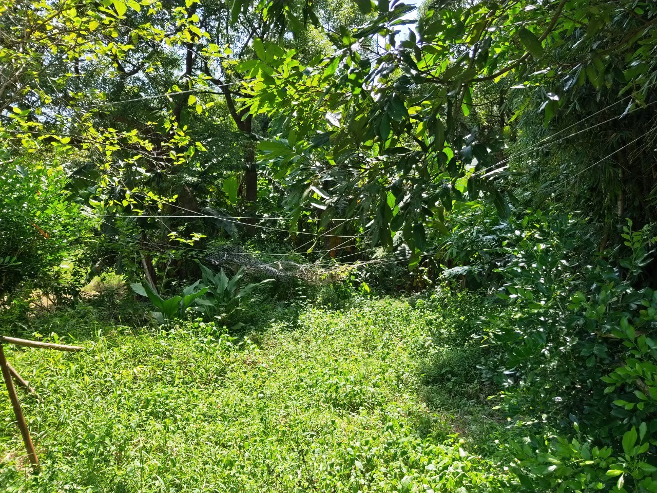 新竹縣新埔鎮待售房屋的歷史成交紀錄及各大房仲開價比較 實價登錄比價王