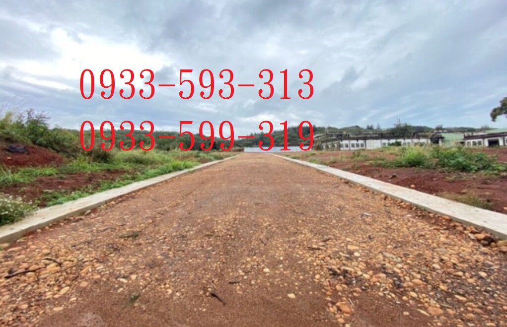 丁建工業地-適廠房 工廠登記-內有規劃8米路