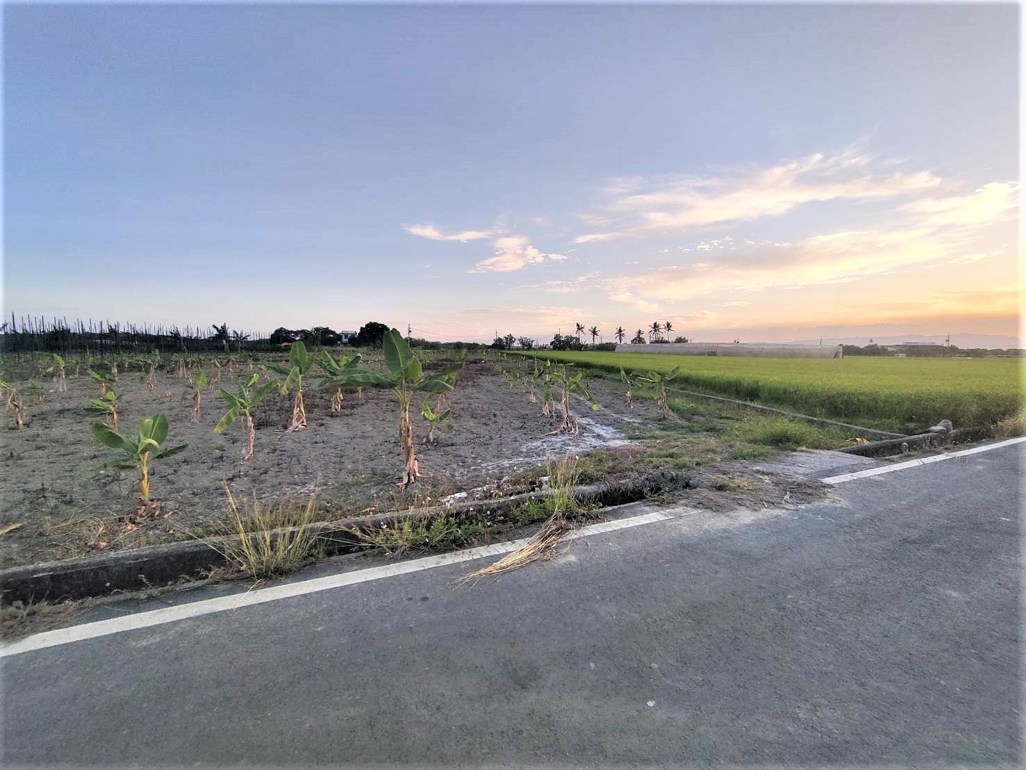 美濃|吉東國小2.8分方正農地