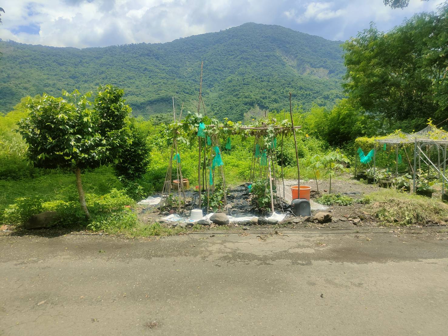 專約★觀溪山莊裡的農地★退休度假勝地