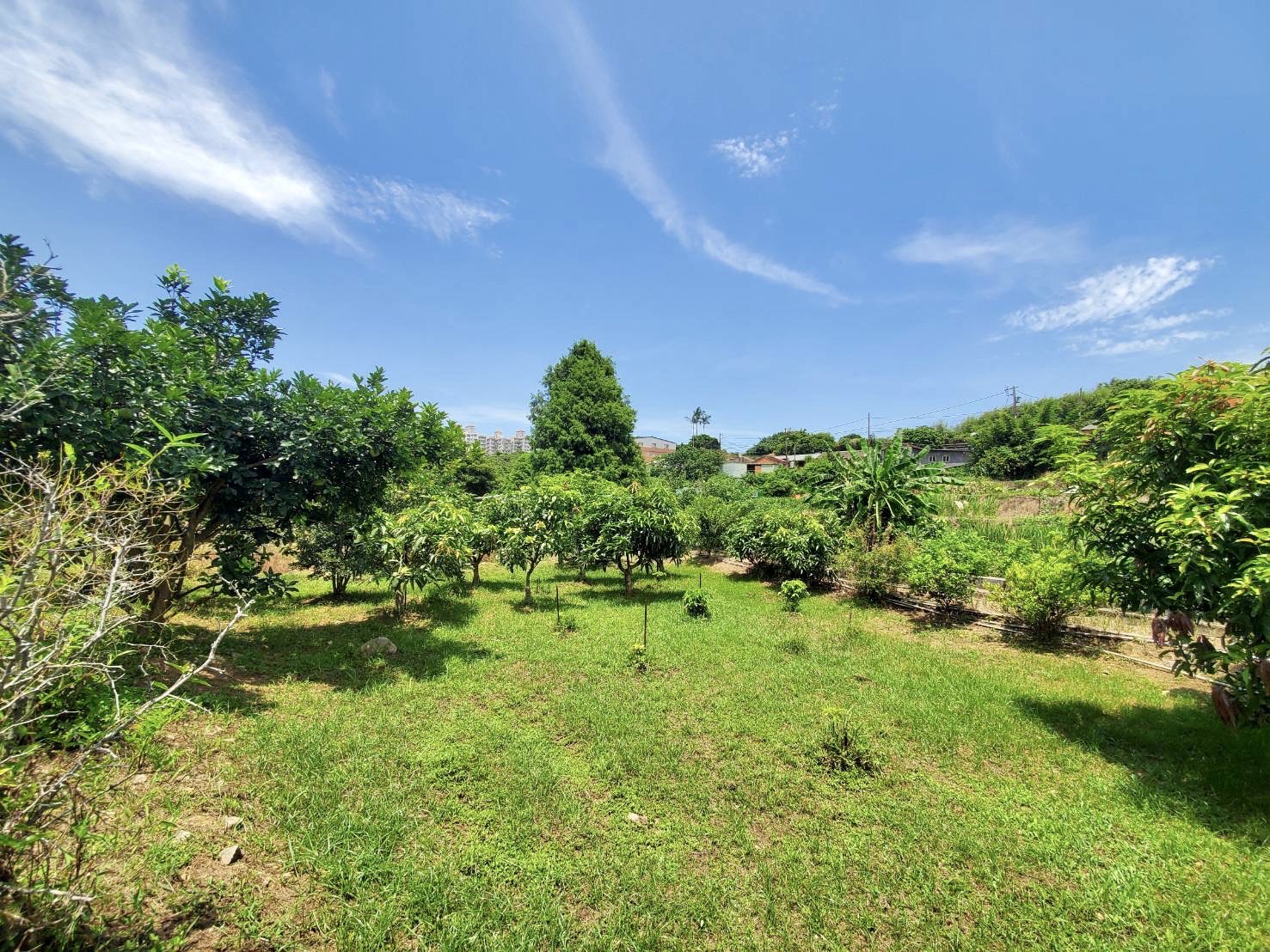 淡水臨溪天大地大天上人間絕美農場