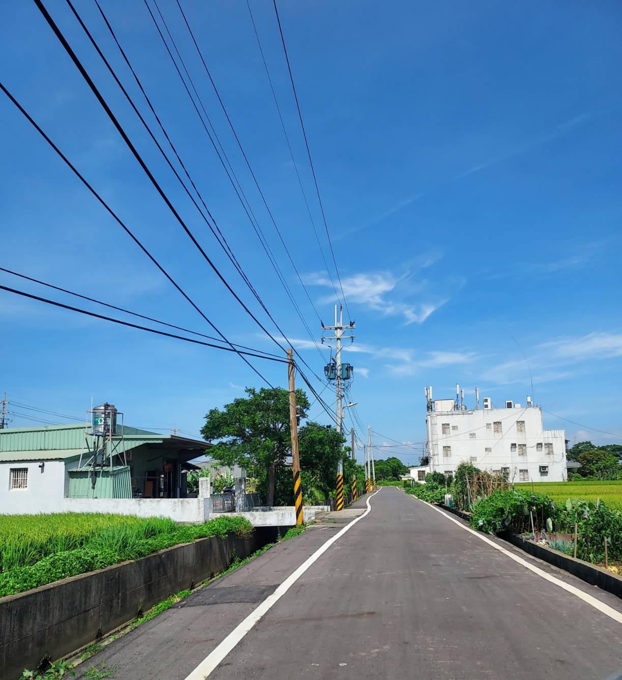 新屋東明國小合法鋼購資材室