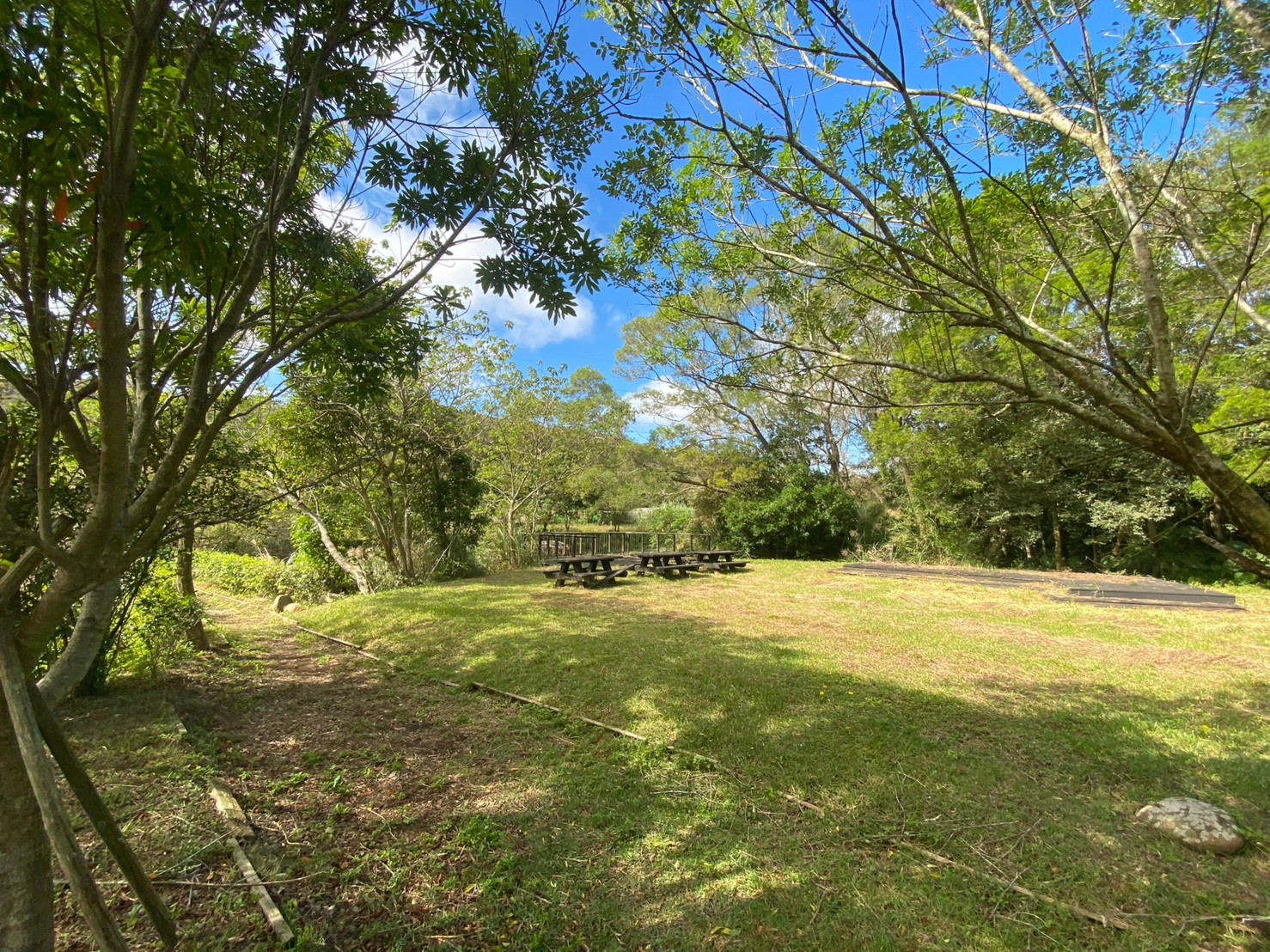 正中原路美農地