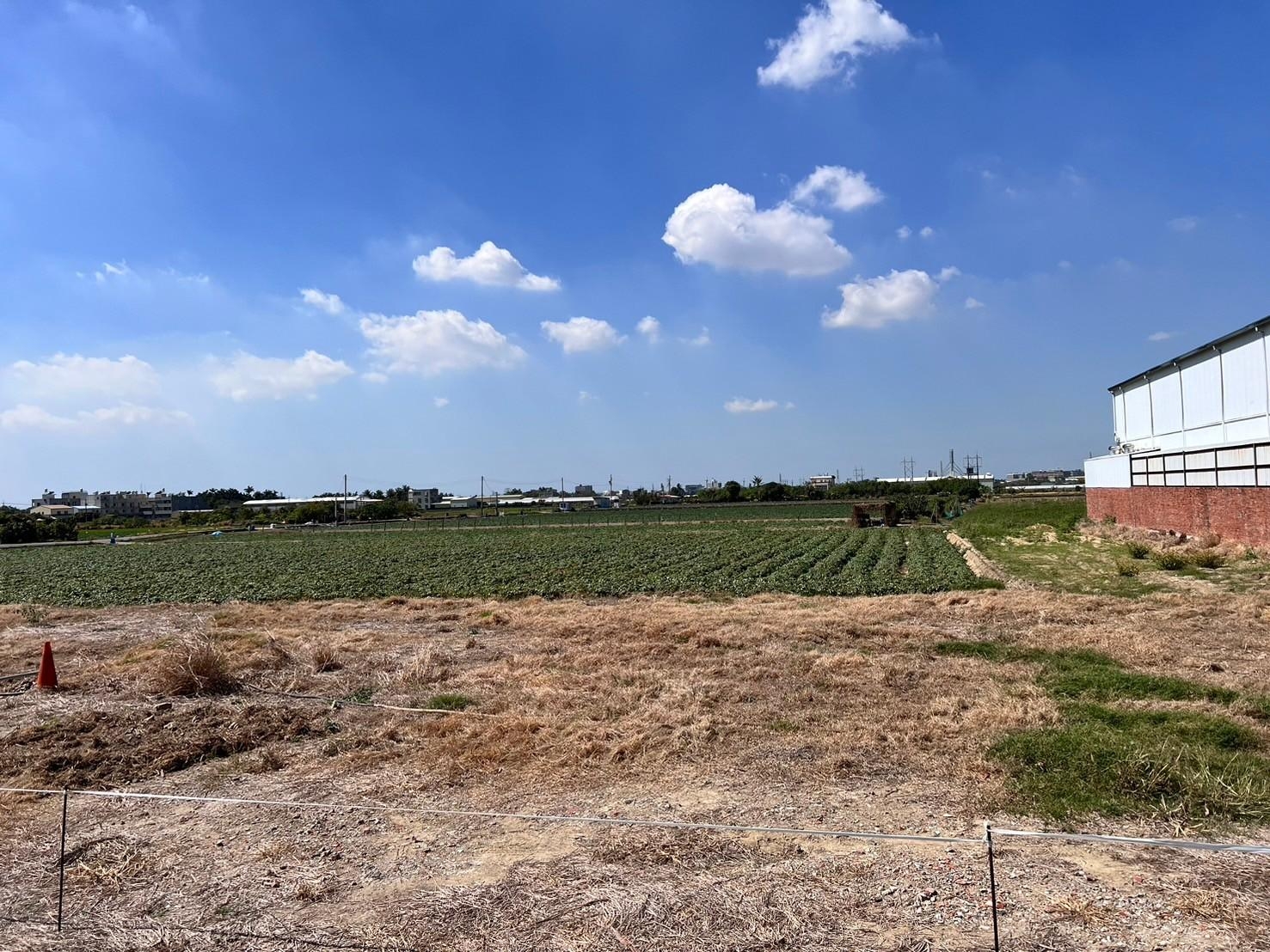 新市大社國小農+建地