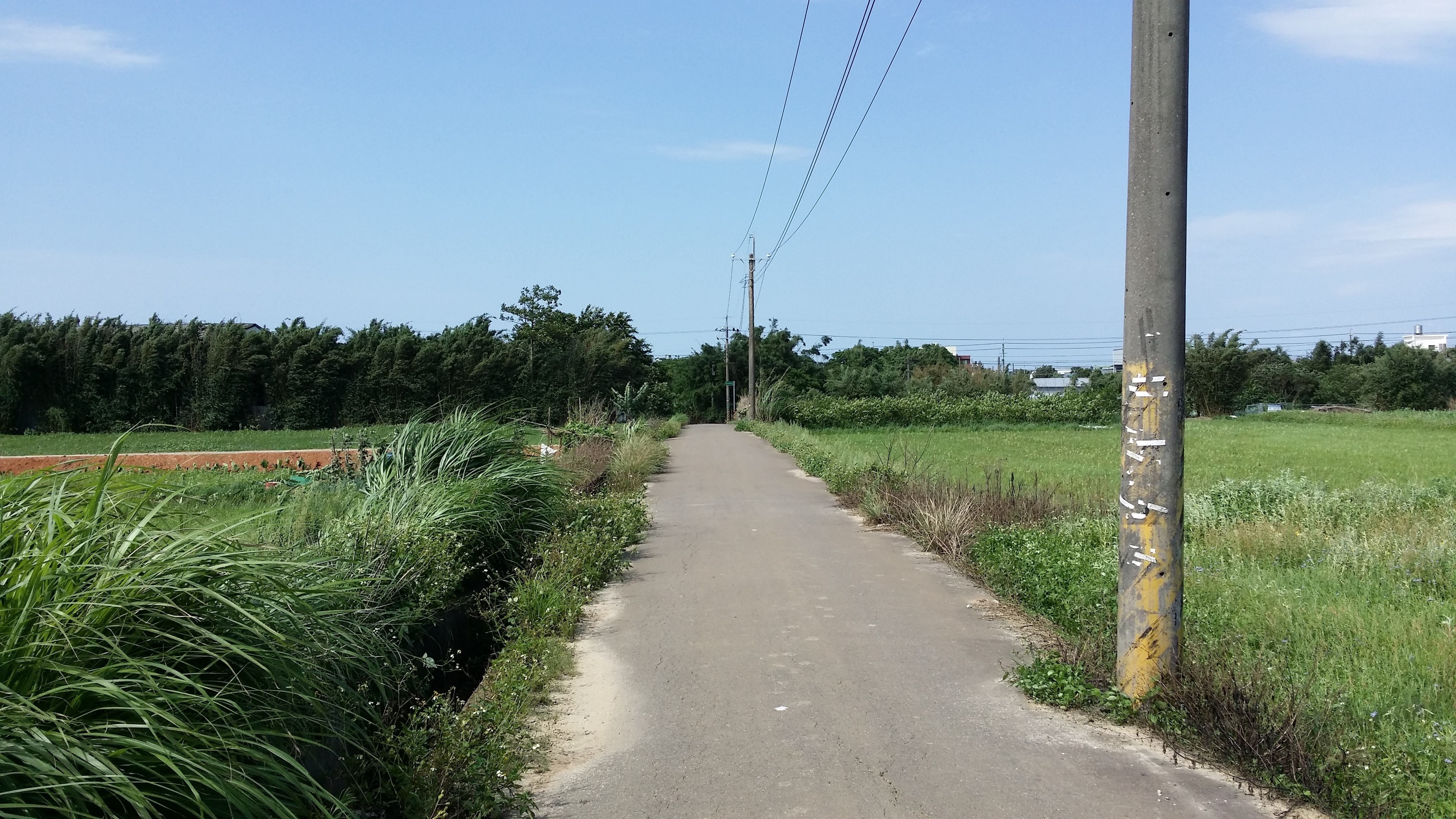 育仁國小440坪農地