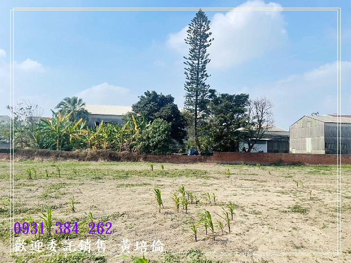 後壁南安溪寮丁建農地0931384262