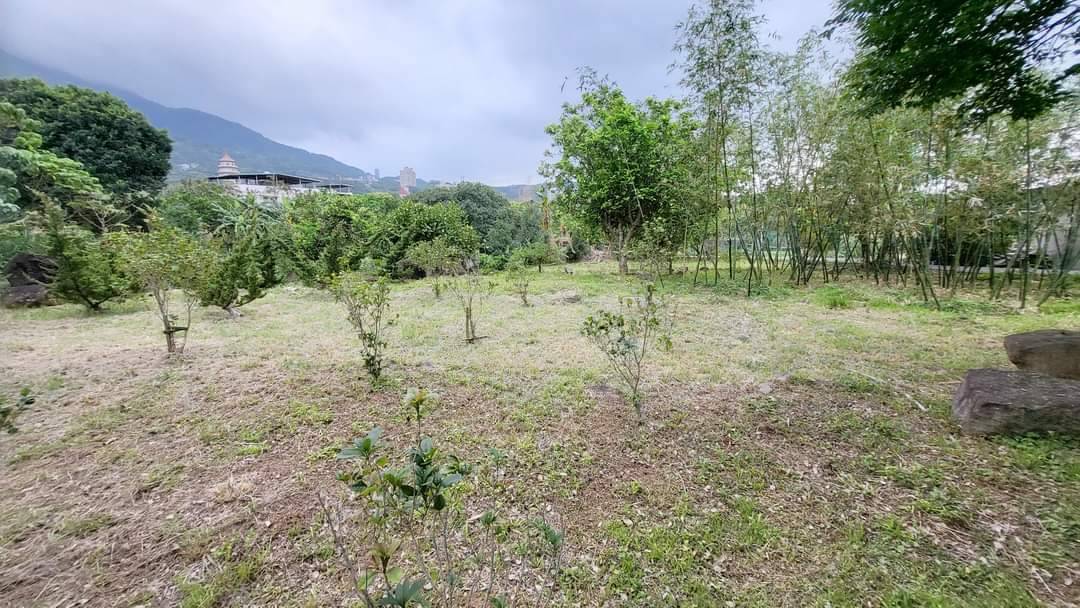 🍎Q032忠寮小美地
