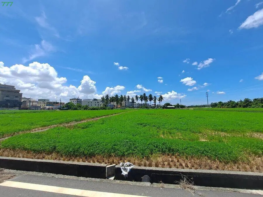 大寮機捷站旁農地 29987