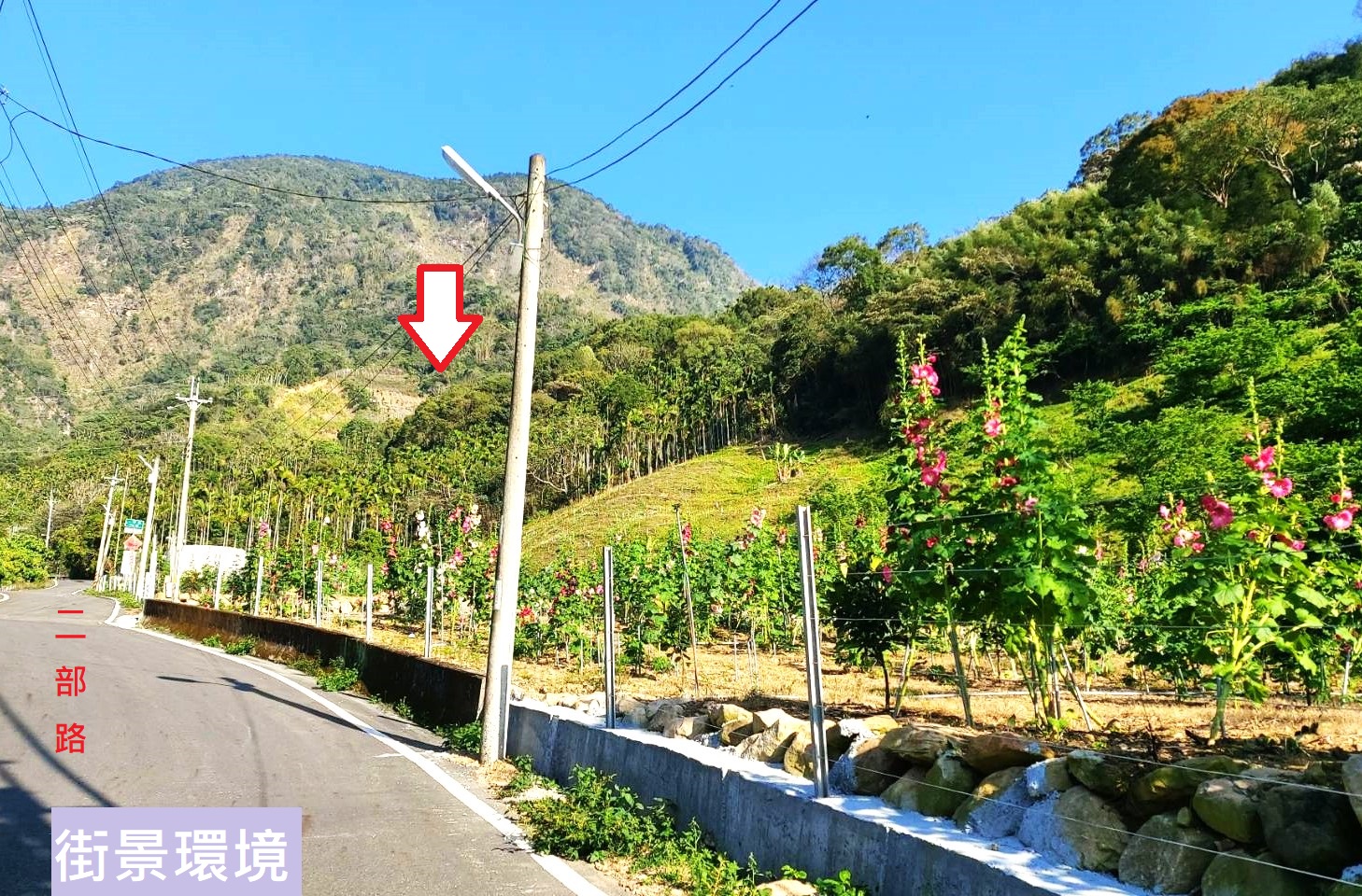 降價！老農夫百果園俗俗賣★比公告現值更便宜