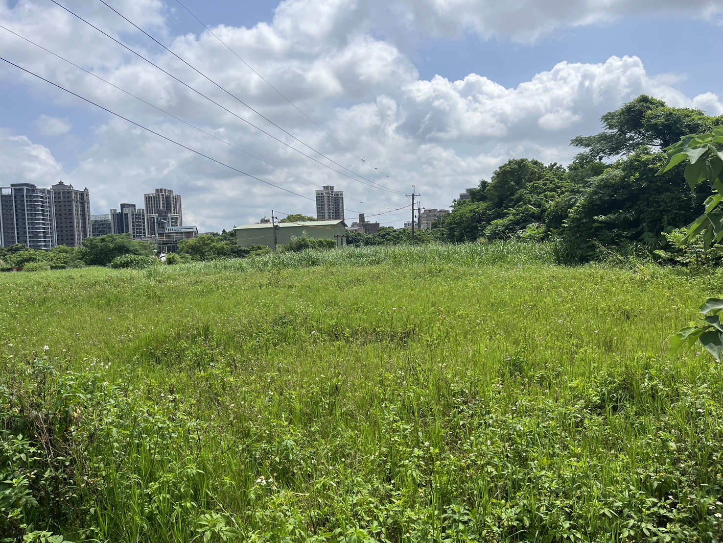 152蘆竹區12米路旁都內田(可申請容許)