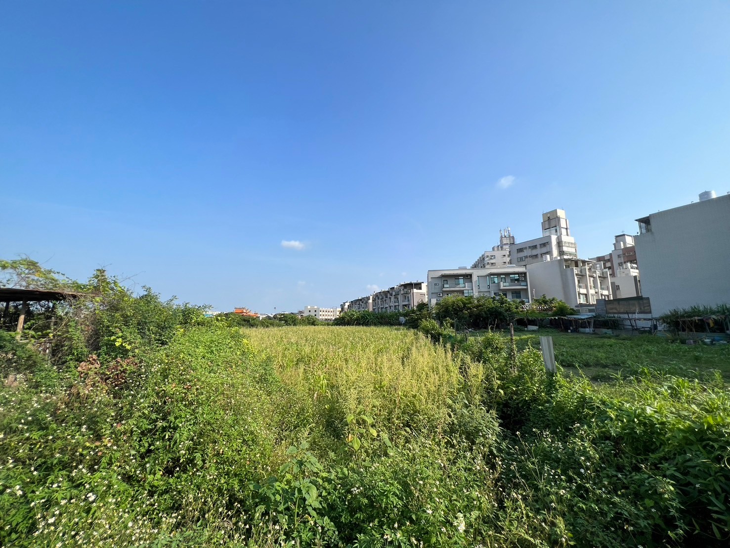 💯榮業專營商仲|永康臨路近千坪建地