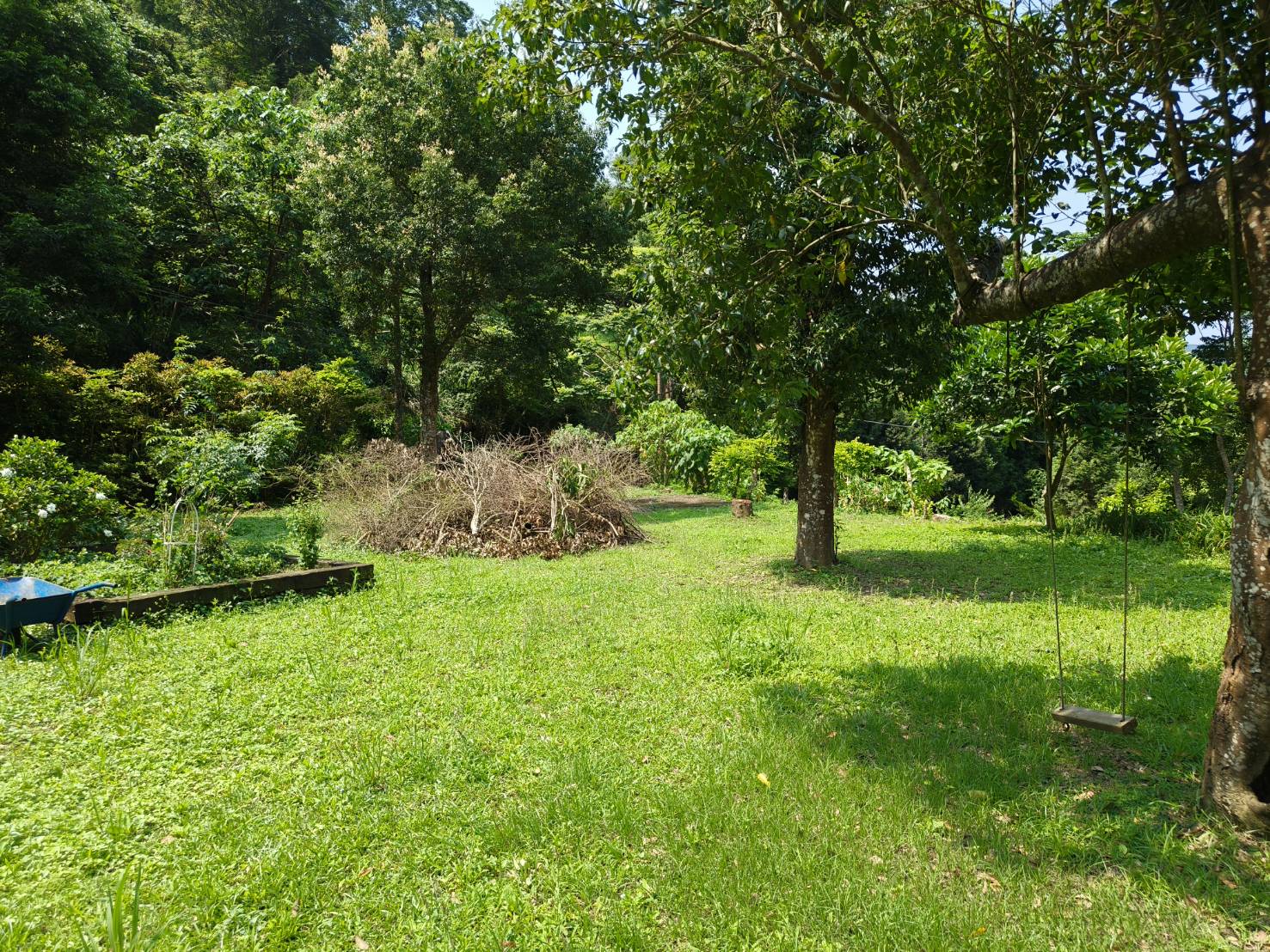 👍🍎苗栗🍎南庄🍎休閒度假農地🍎