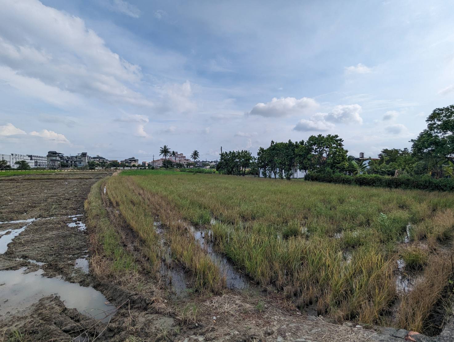 美濃三角窗雙面臨路優質農地