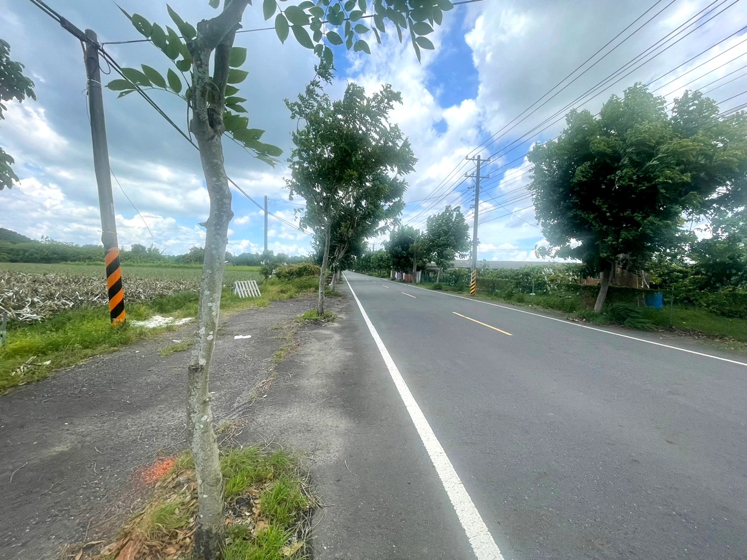 山上15米路面寬農地(二)