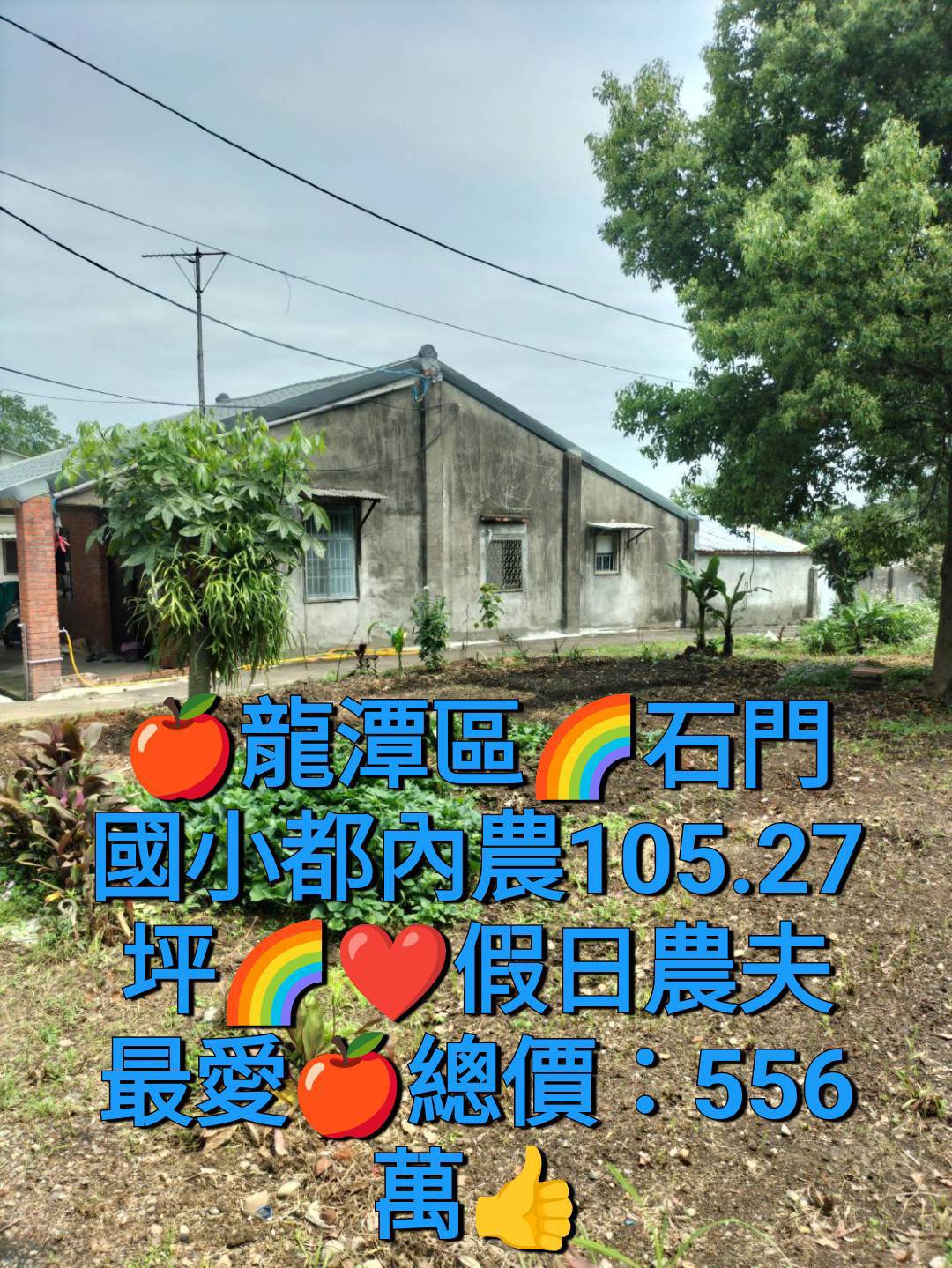 🌈石門國小都內農3