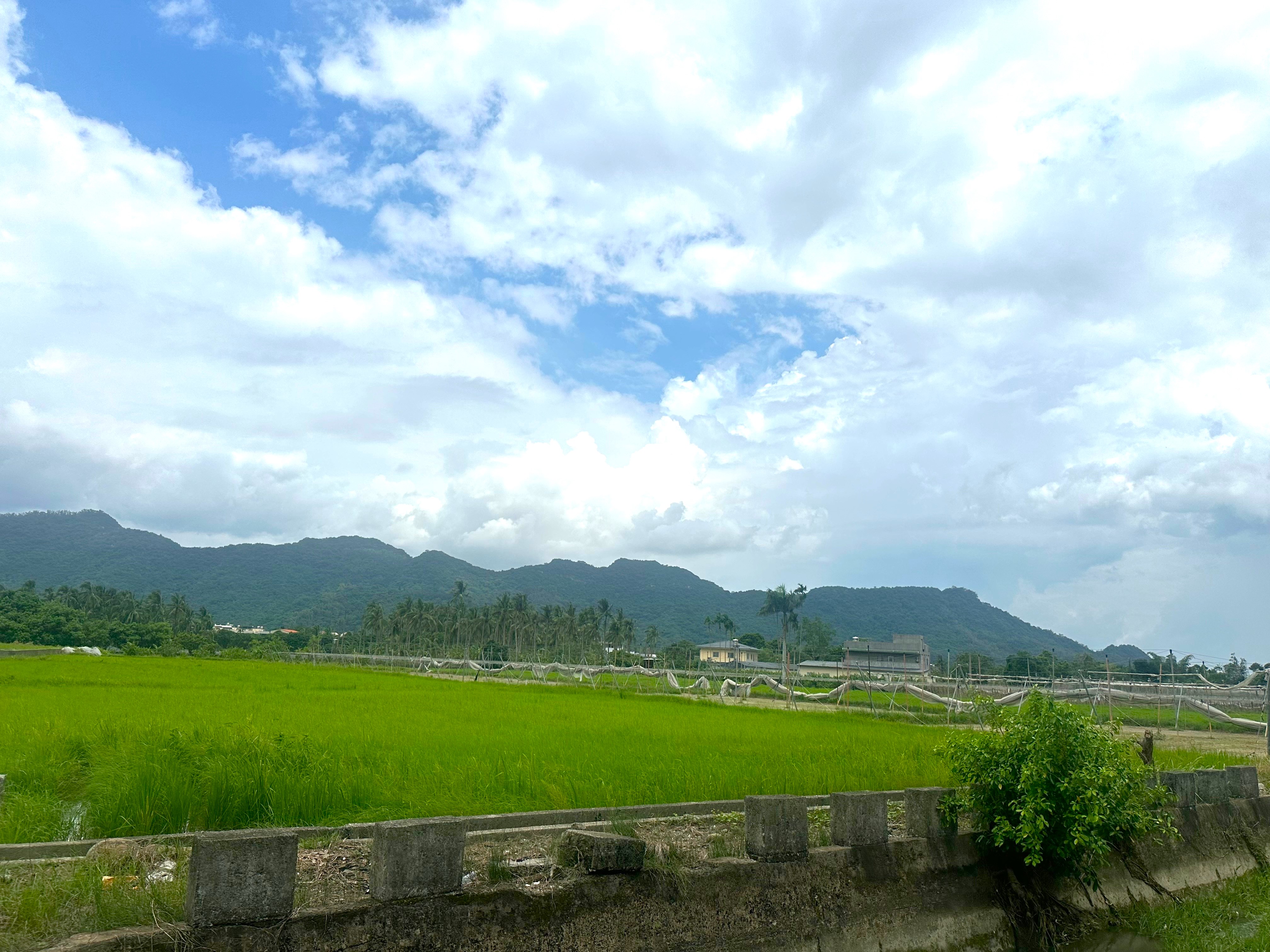 ★高雄旗山★圓潭田園樂活4分半農地｜開心農場 