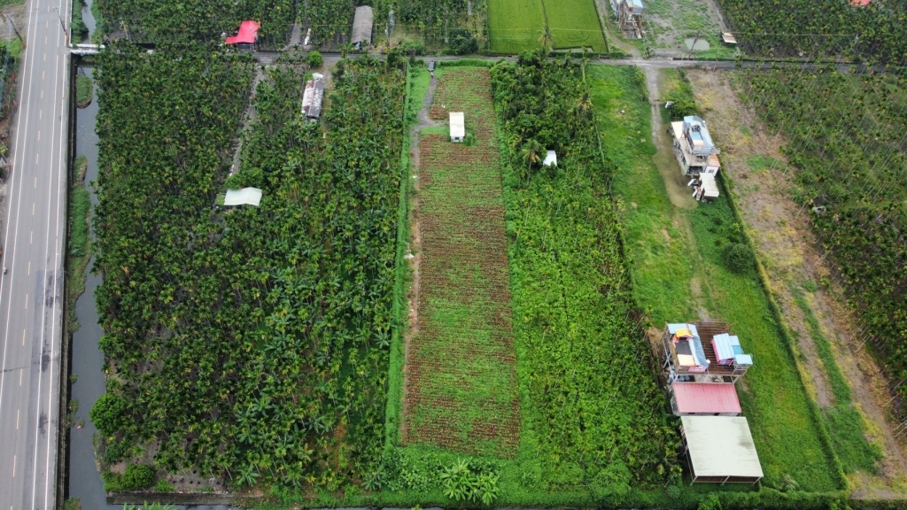 屏東內埔4分新埔休閒農地