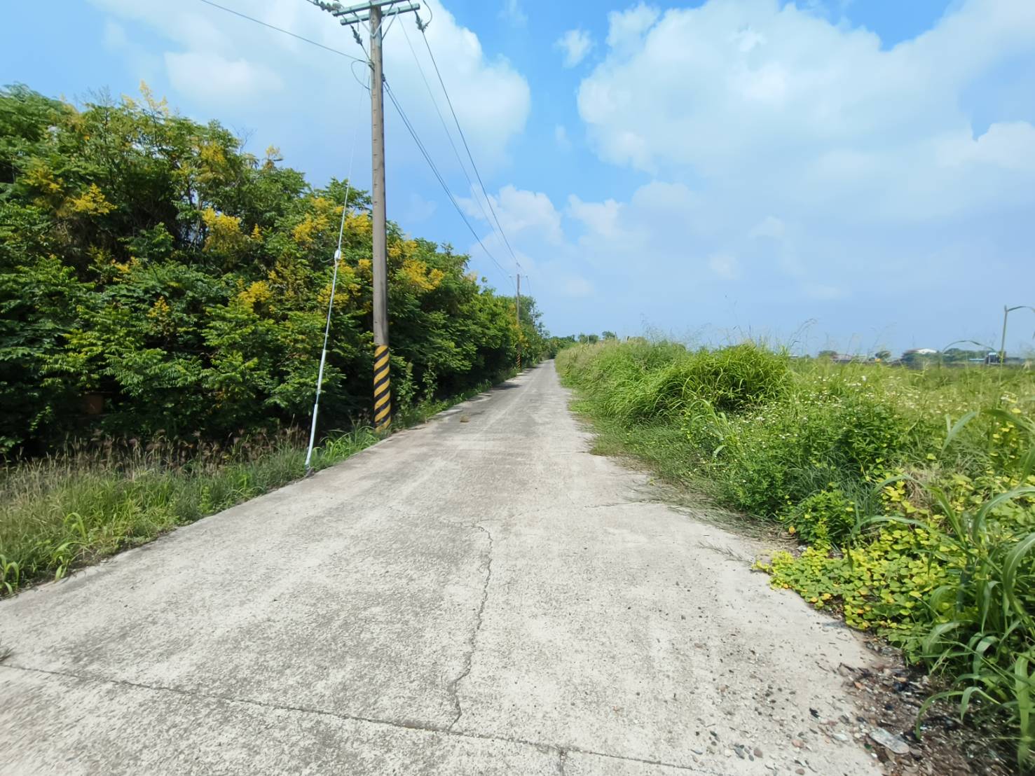 台南市新營區後鎮段350坪休閒農保地