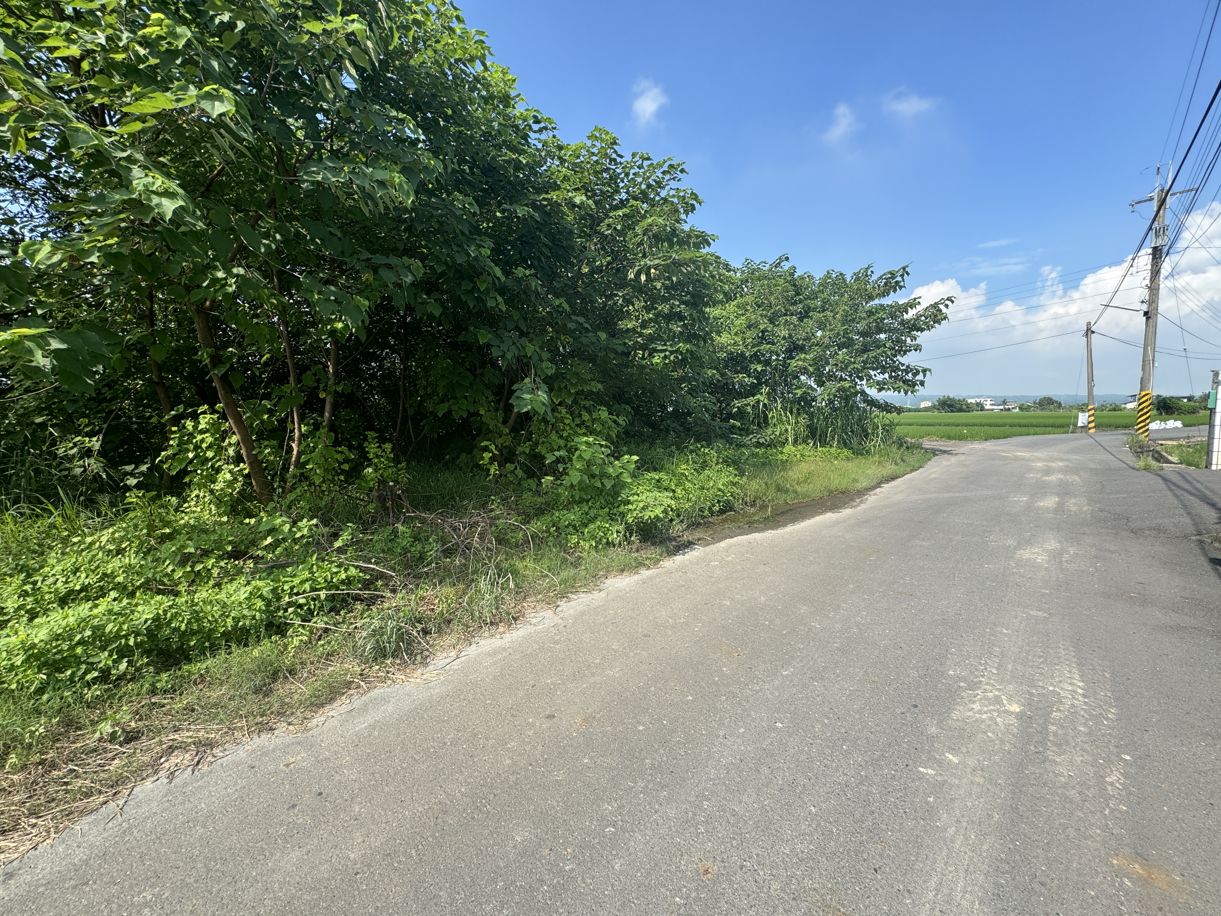 芬園嘉北大車可達346坪方正農地