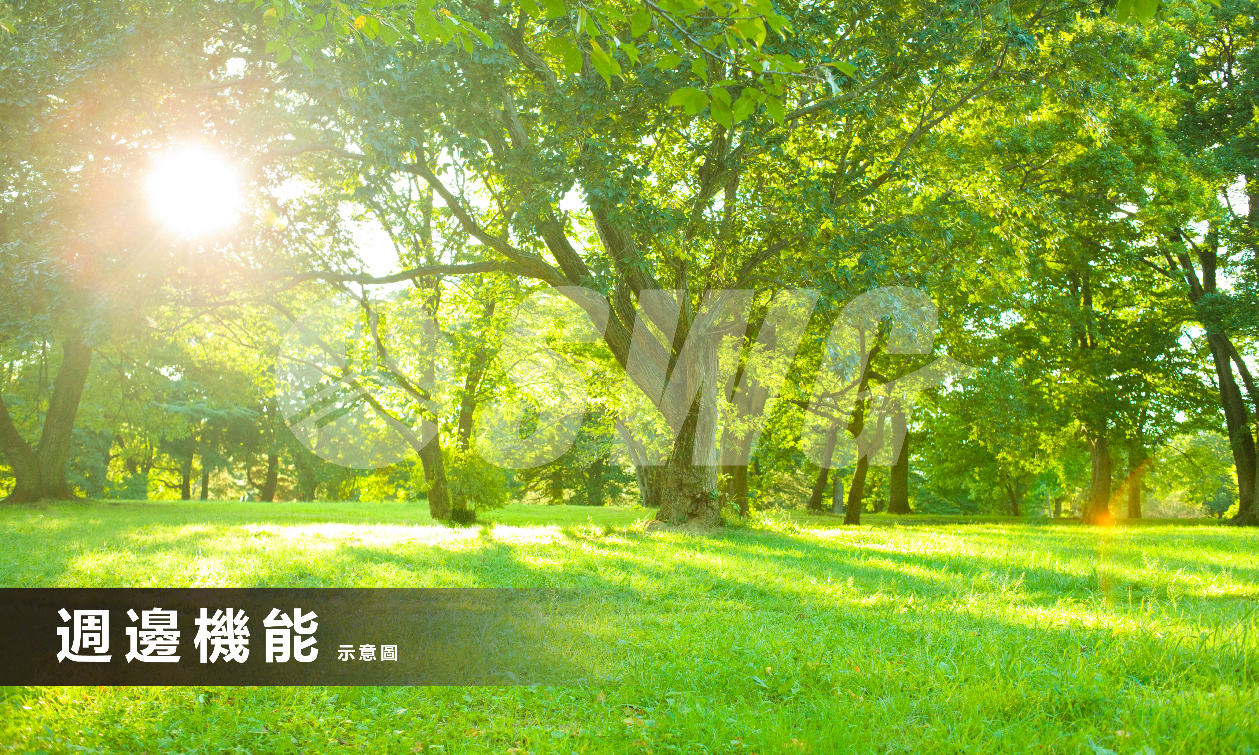 大象好房民俗公園惠宇文化願景四改三房平車稀有釋出