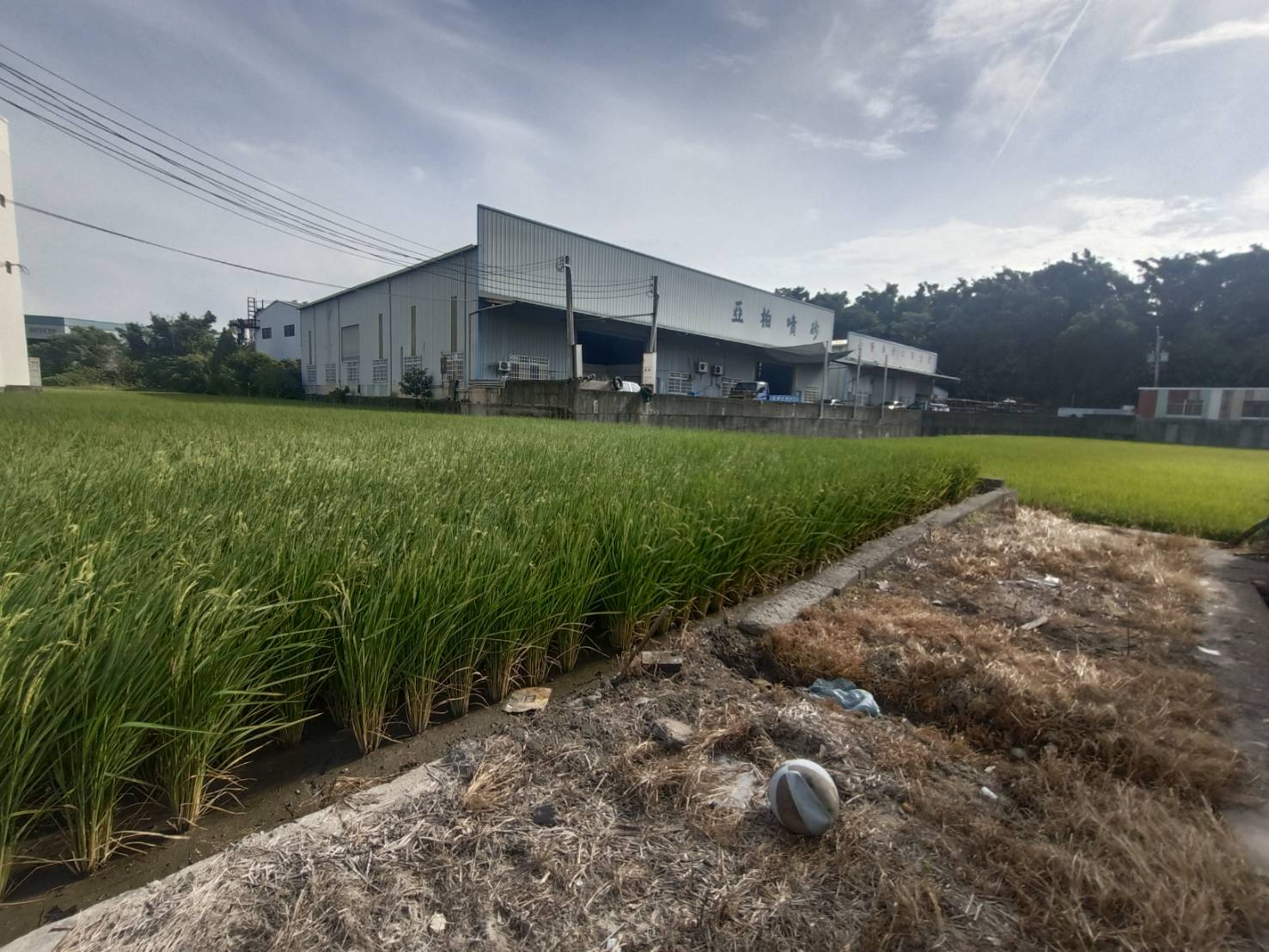 專簽獨賣 低單價 小農地 ((出價就談