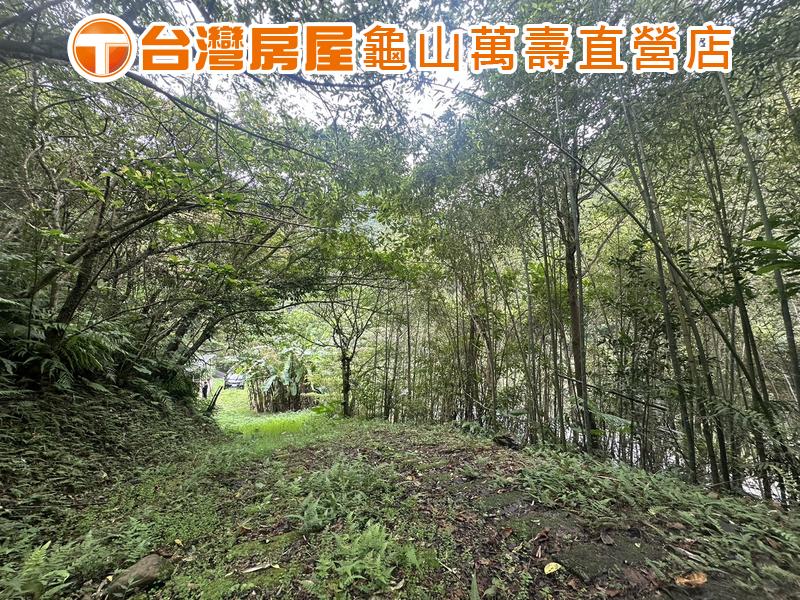 降價🌈吱吱獨家🏠烏來啦卡大坪數度假美勝地