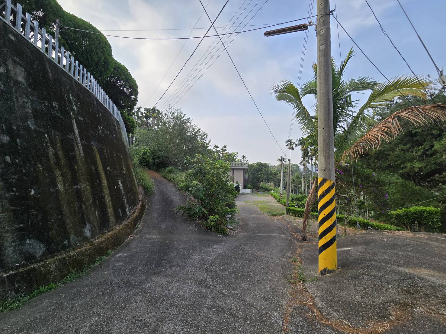 ✨獨家✨國姓鄉~最便宜收租果園地