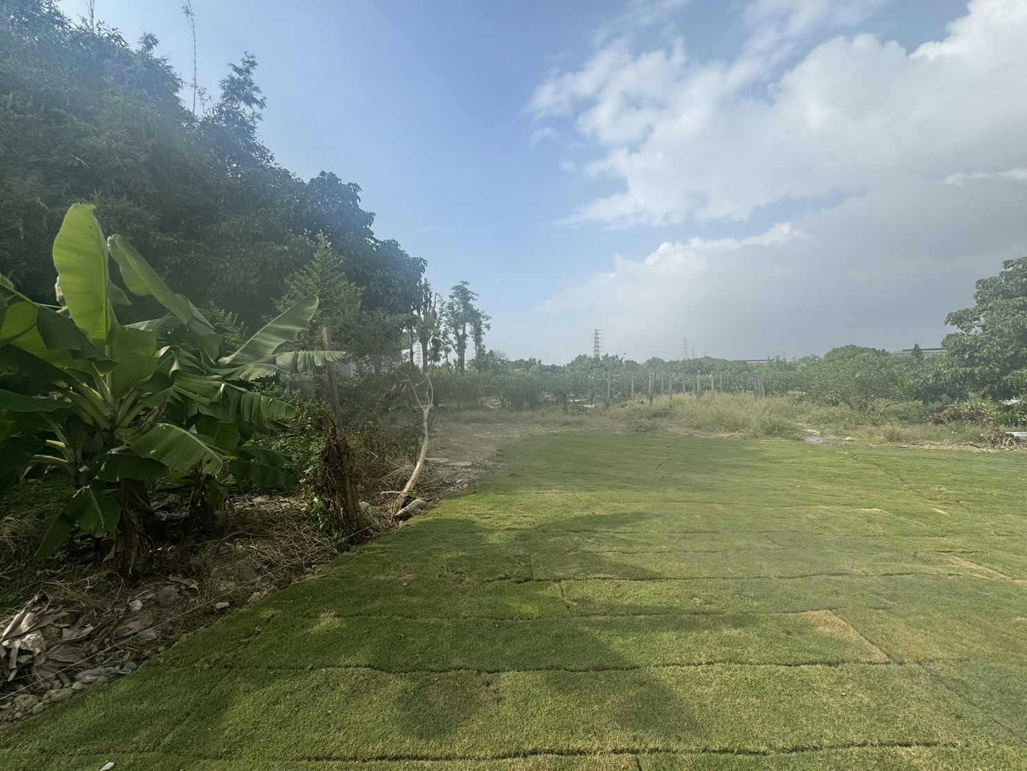 ★高雄岡山★灣裡站都內農地｜近2千坪｜可分售