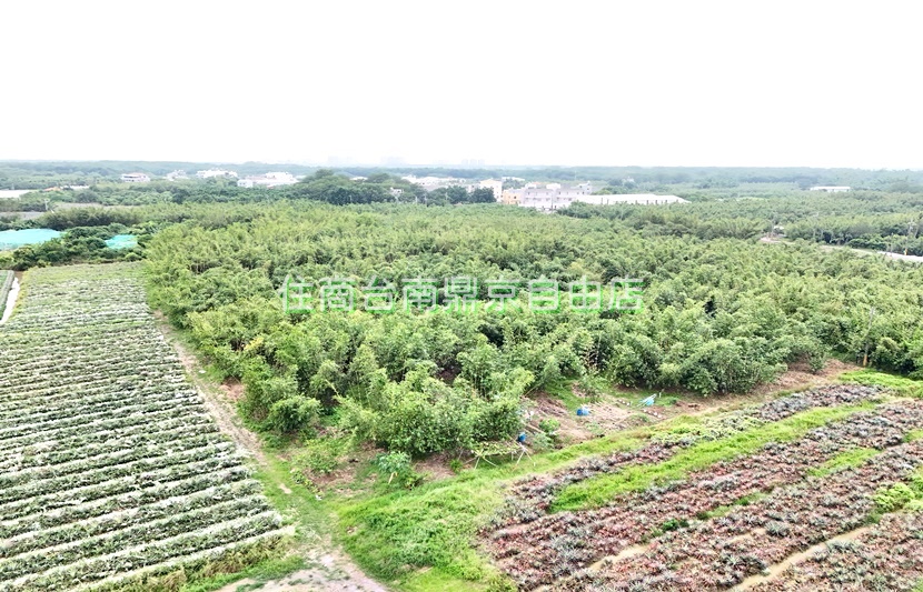 近高鐵特區沙崙農地C