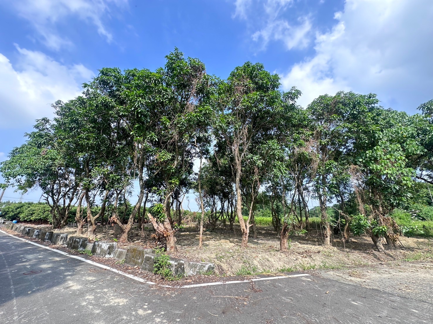 東山大客北二段1.4分農地