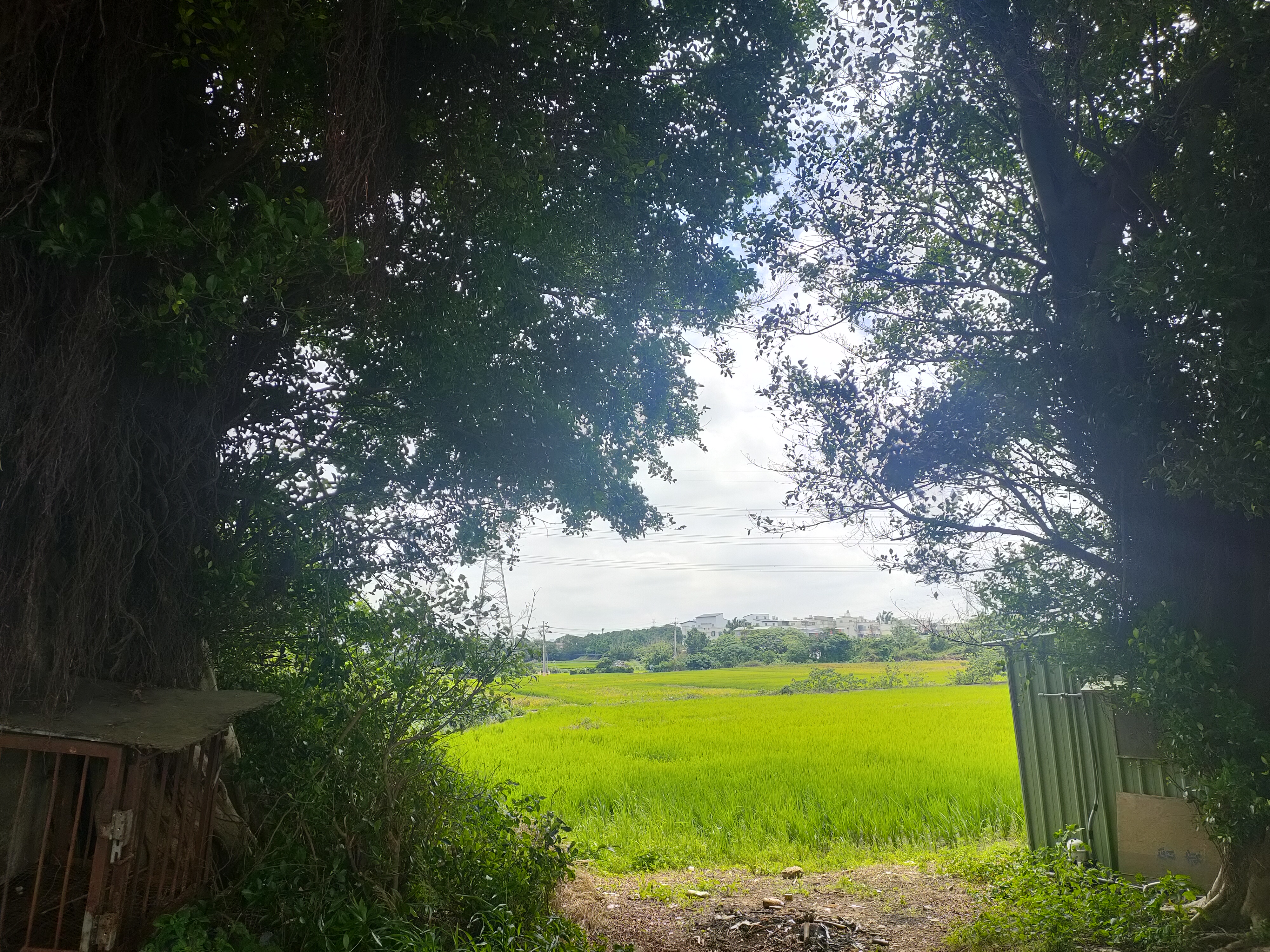 楊梅超值農地