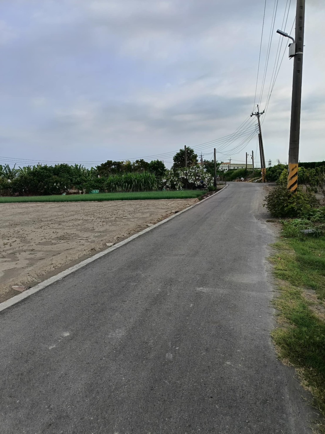 屏東新園五龍有電開心農場