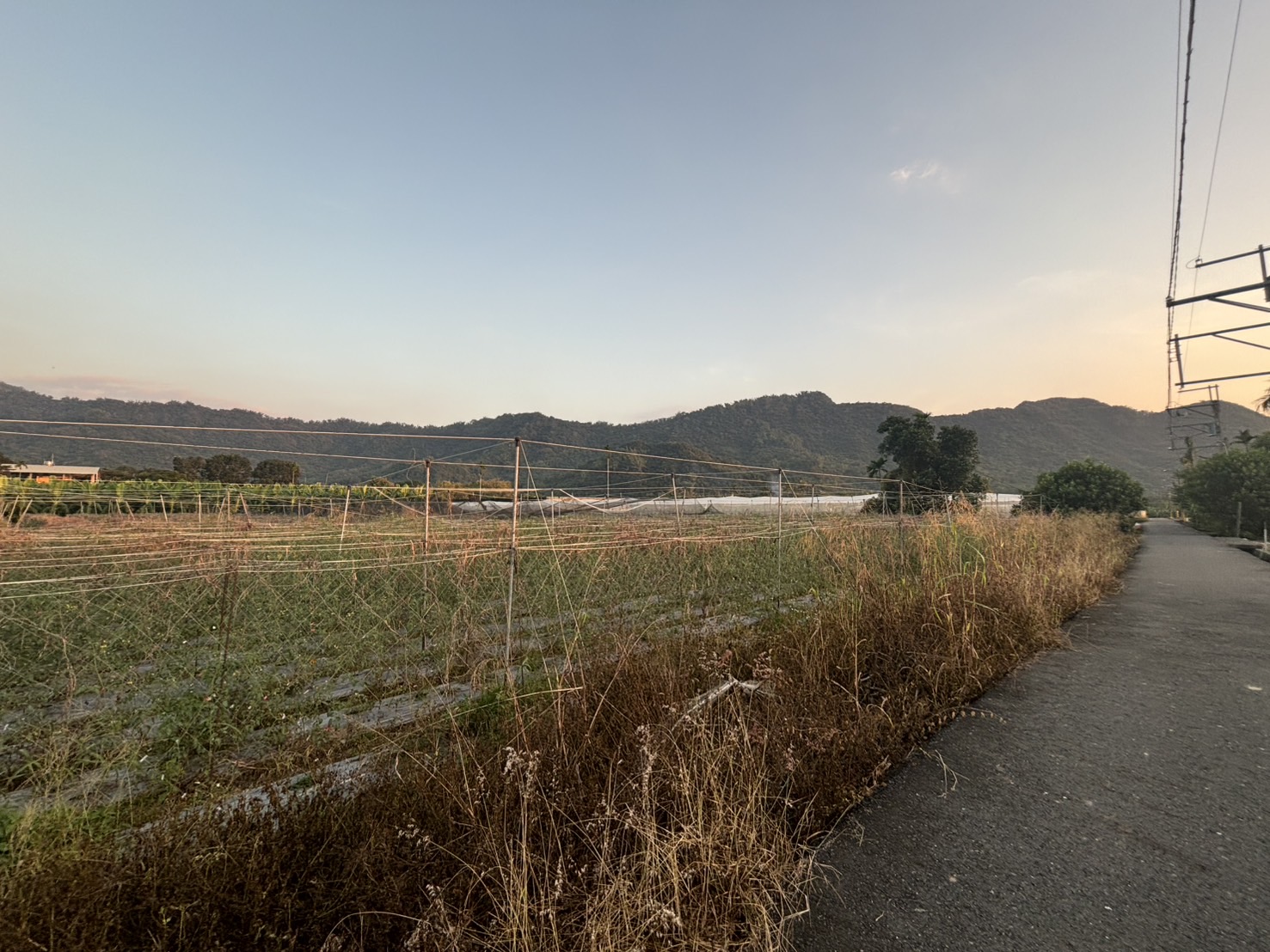 ★高雄旗山★圓潭3.5分臨路美農地A