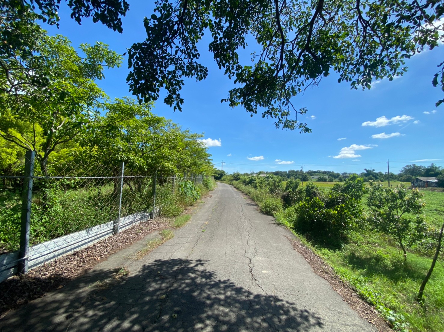 六甲都內農工研院旁303