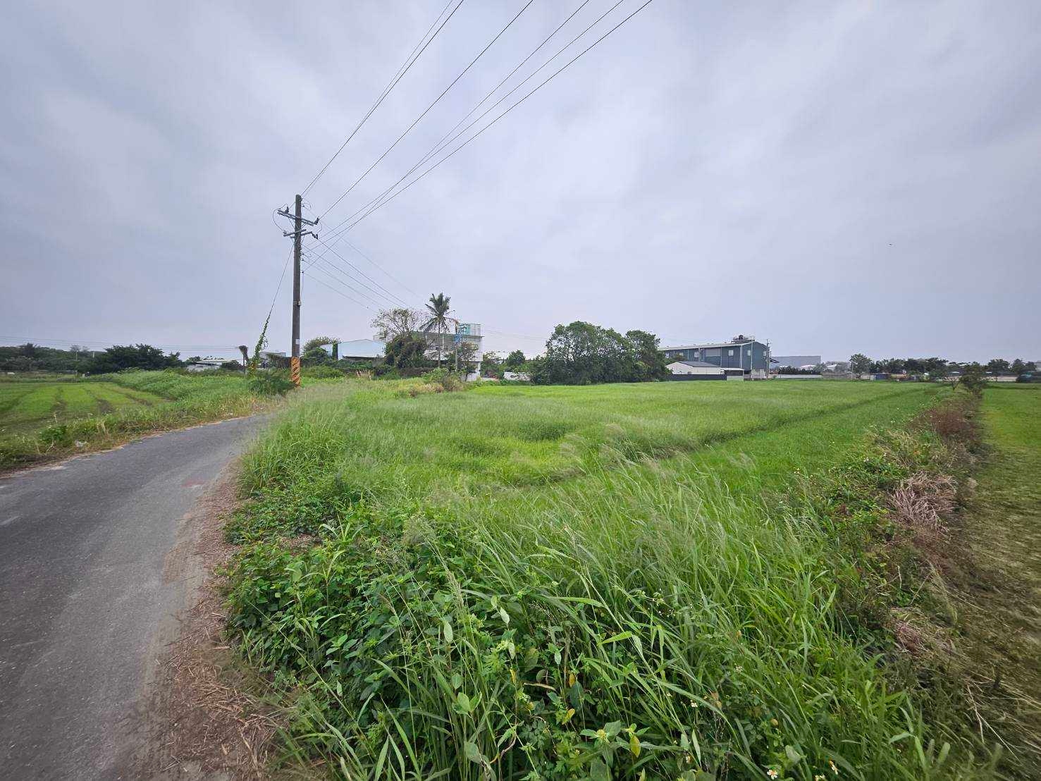 仁德近86大面寬優質美農地