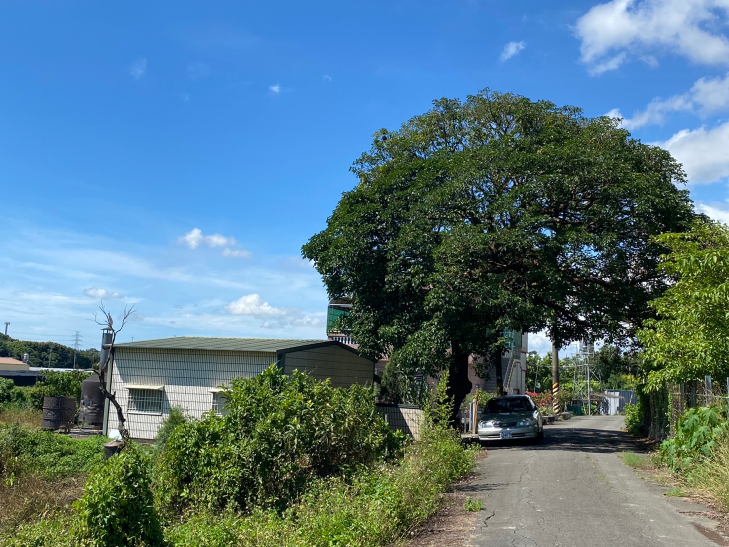 六甲區工研院旁都內農地518