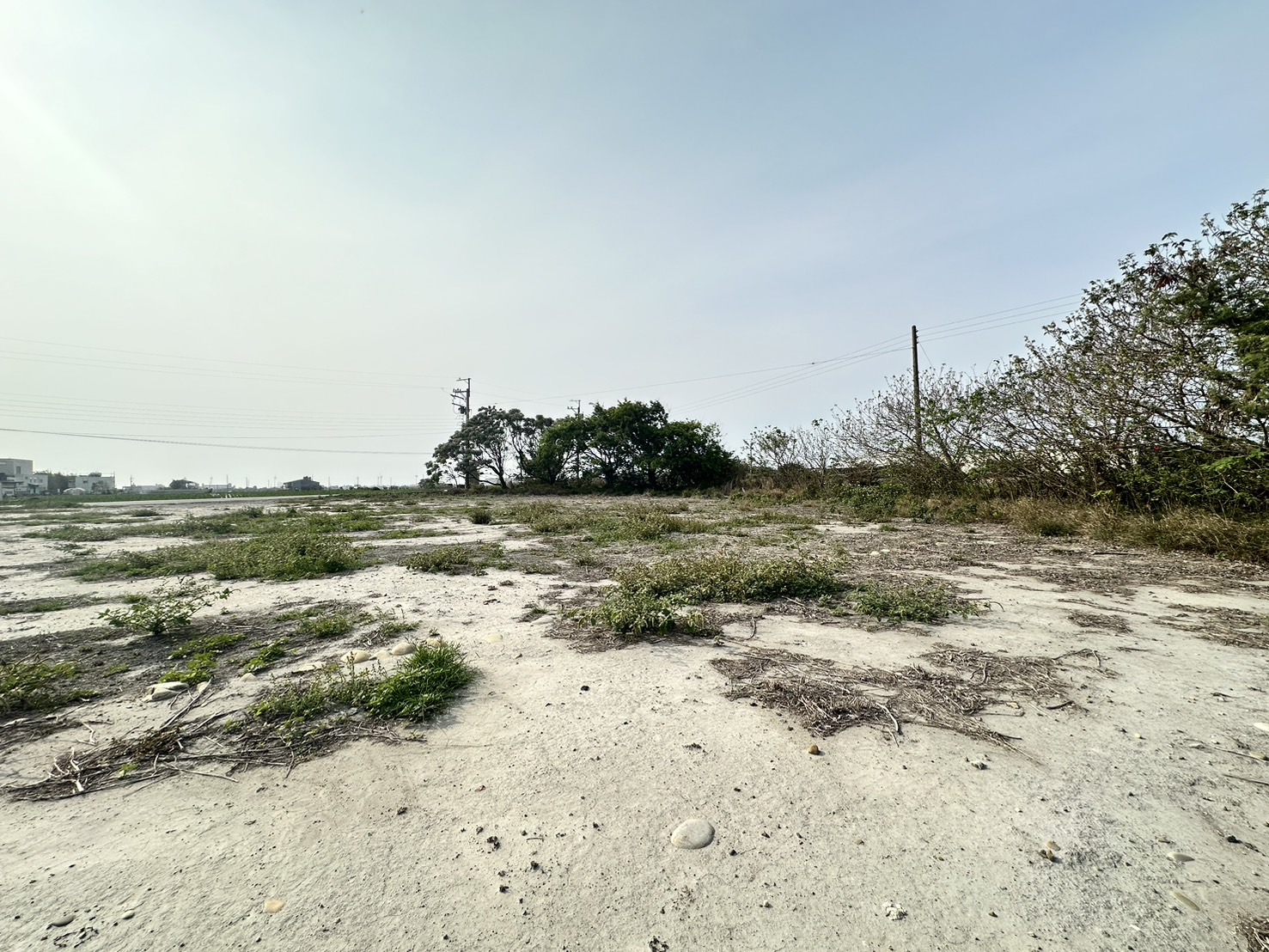 ☘️台中大安南北五路~大坪數臨路甲建方正土地
