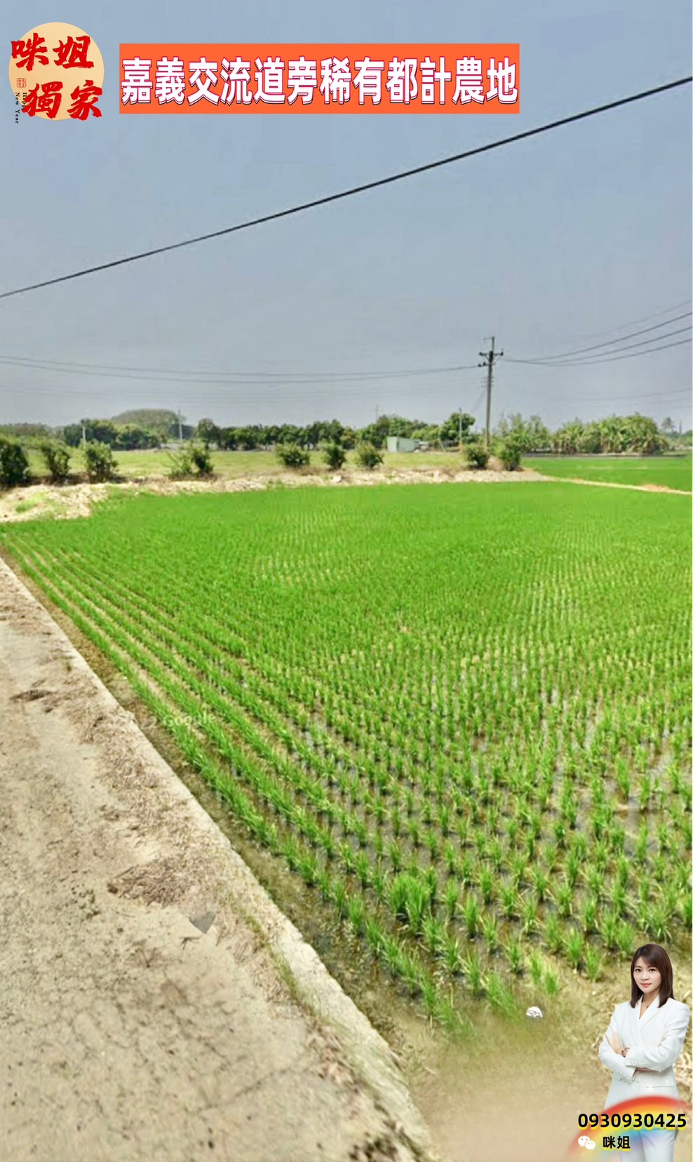 🍎嘉義交流道旁稀有都計農地🍎