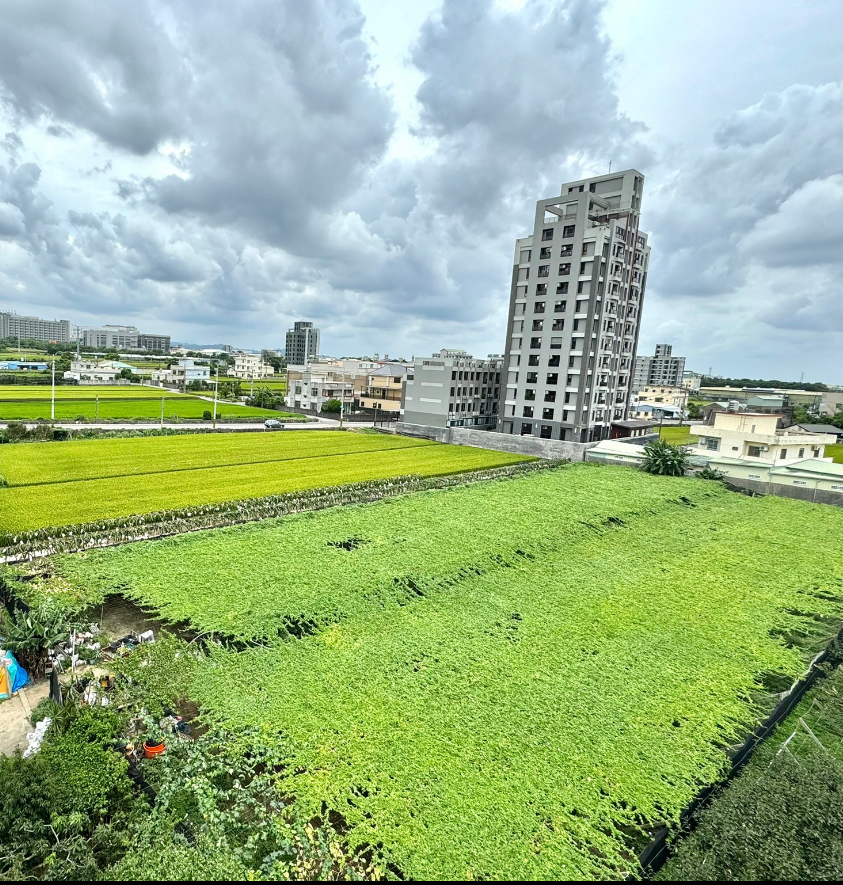 ✨親友專任✨泰安休息站旁漂亮農地