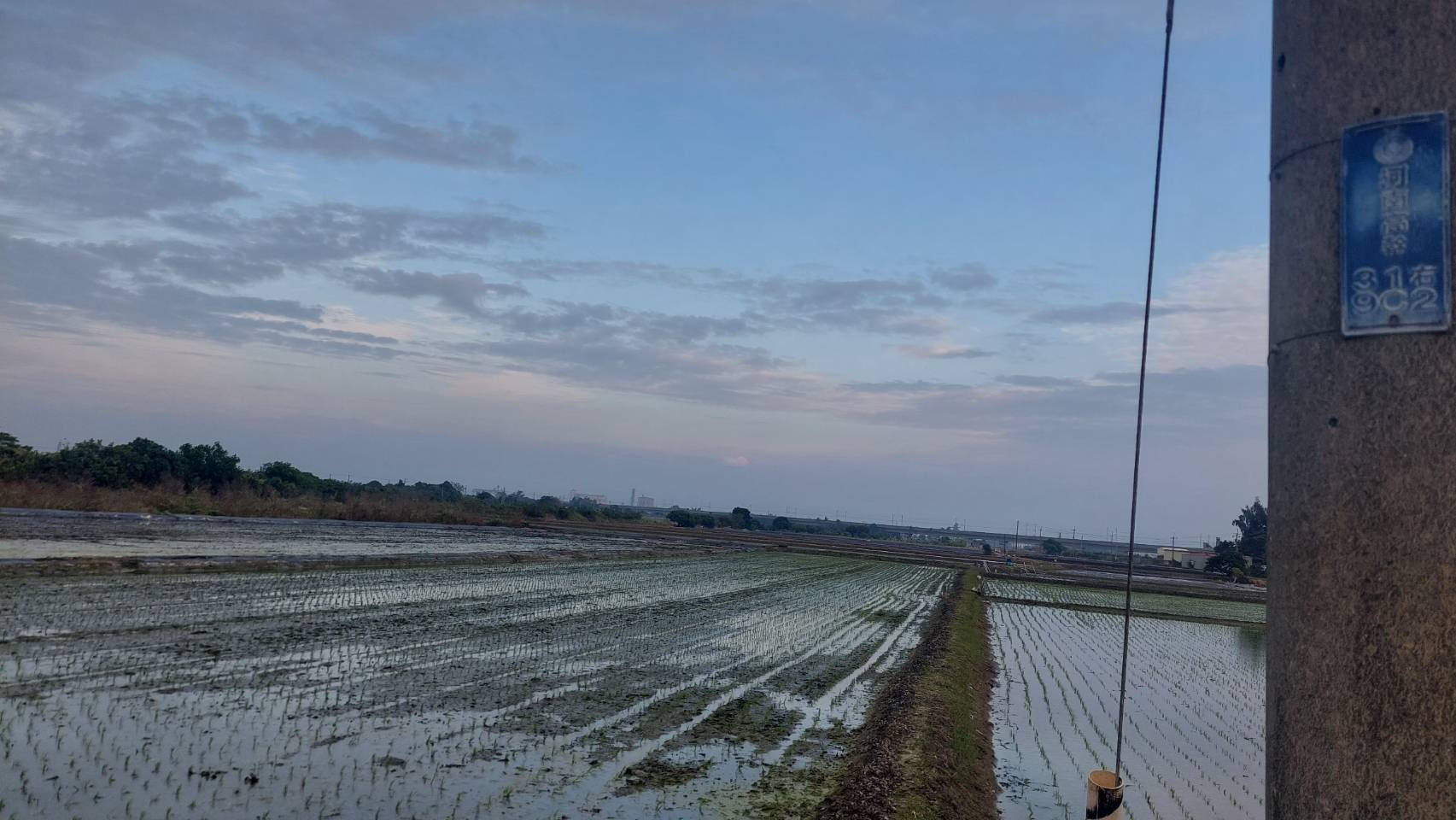 台南官田-葫蘆埤生態公園美農地