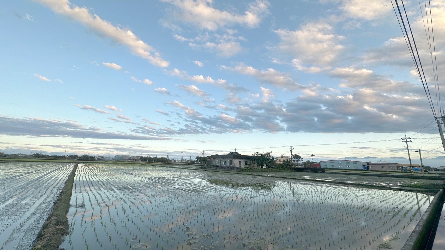 礁溪悠哉397小農田🌱新樂園五結店