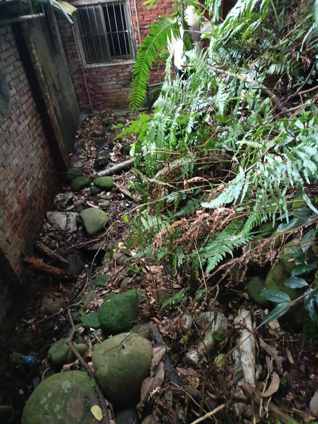 平鎮工業區旁建地+林地
