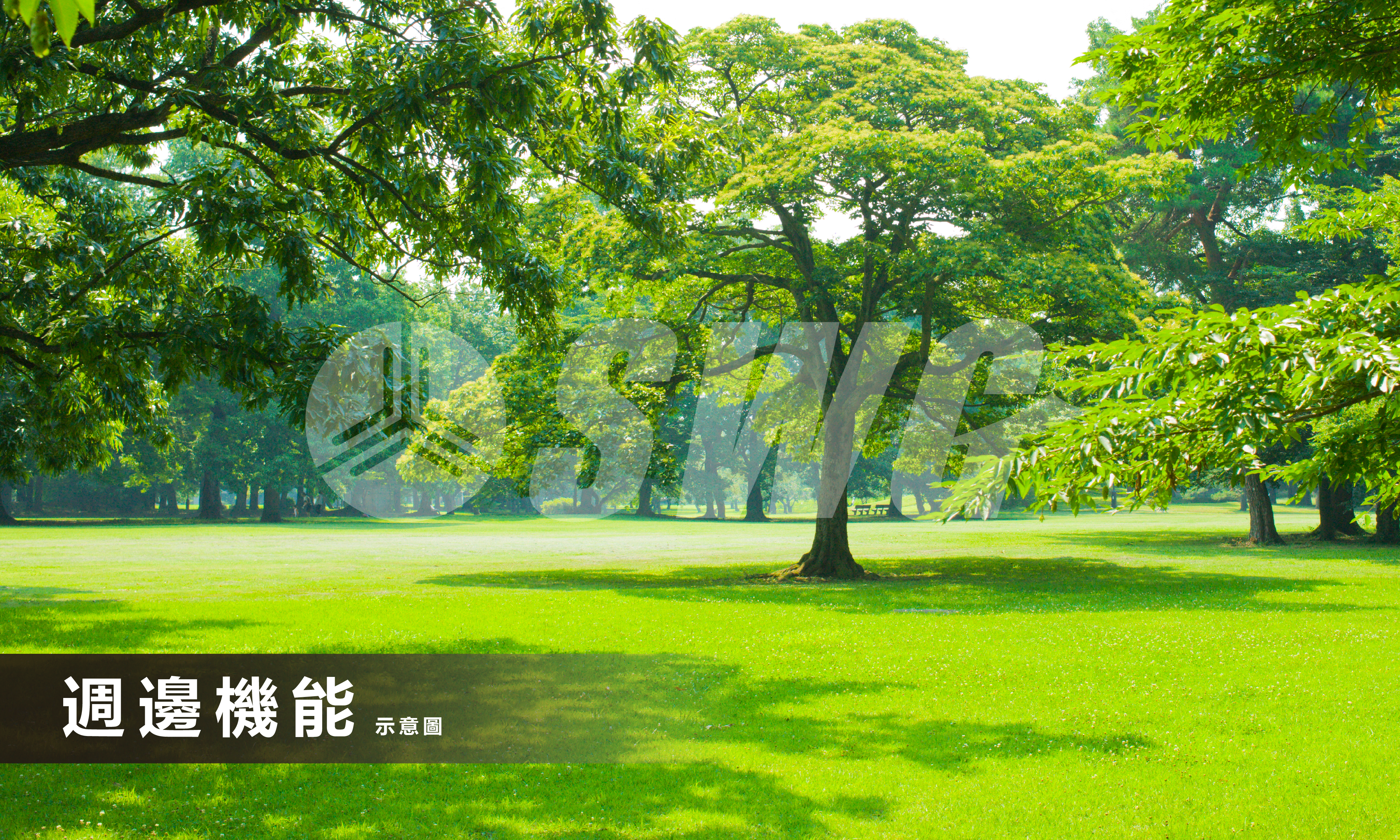 大象好房中央公園達麗創世紀全新精裝兩房平車