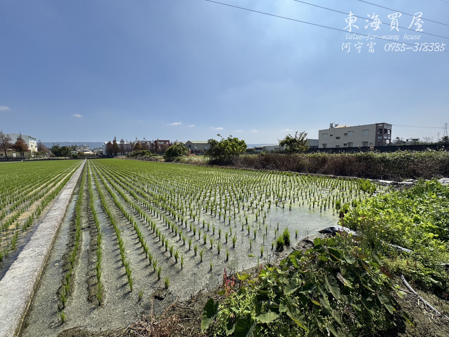 彰化永靖-【稀有釋出】永靖683坪優質農地，每坪僅