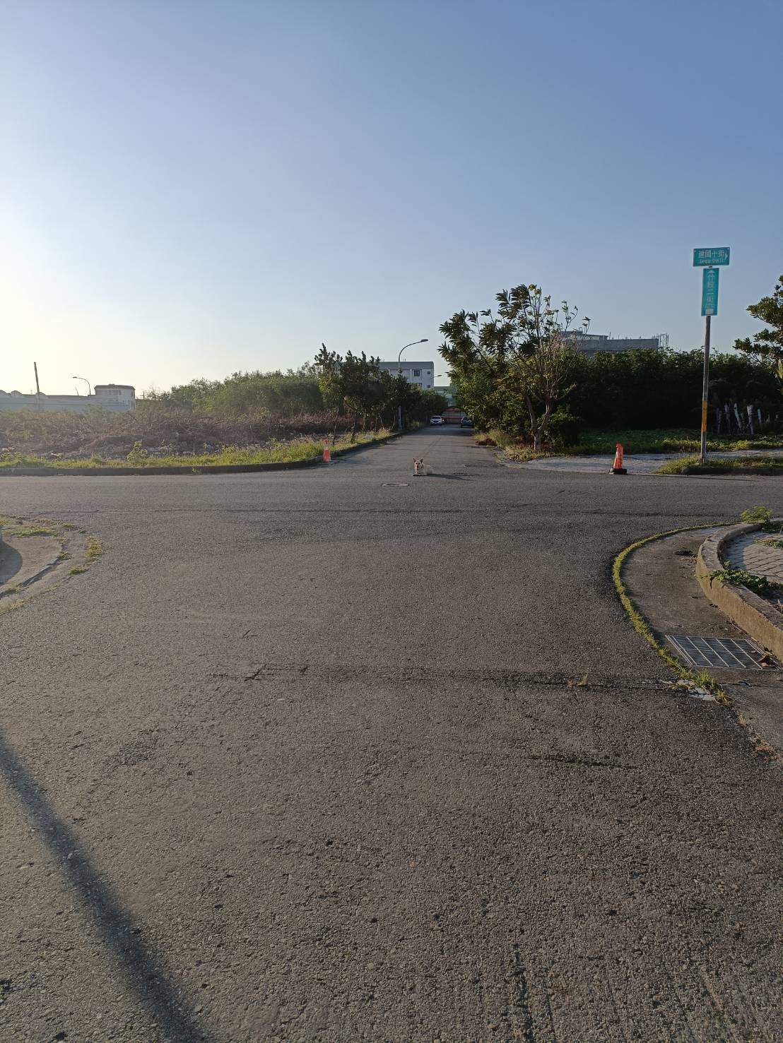 彰化伸港百甲重劃區建地