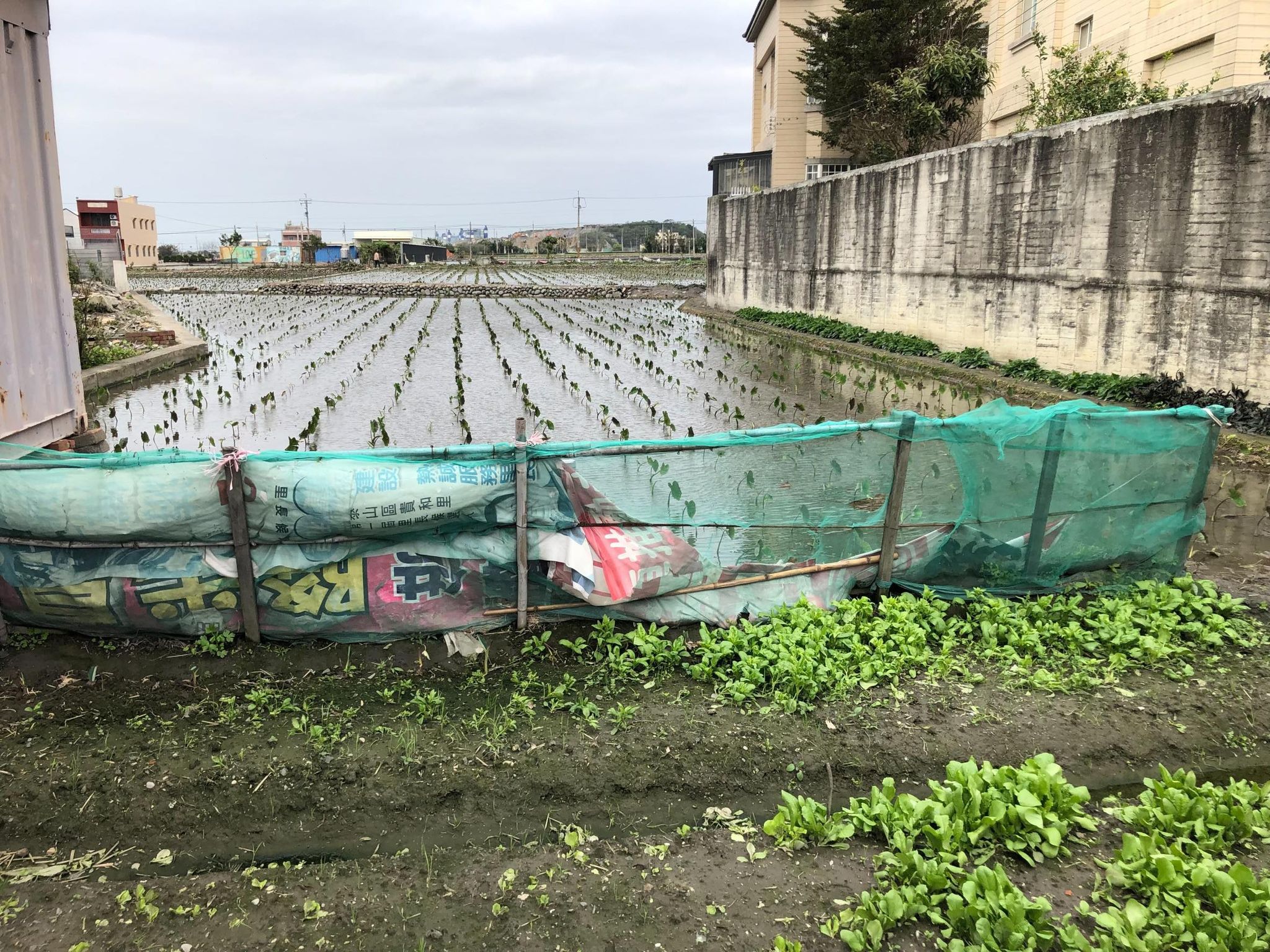 出價可談-大甲東西七路田