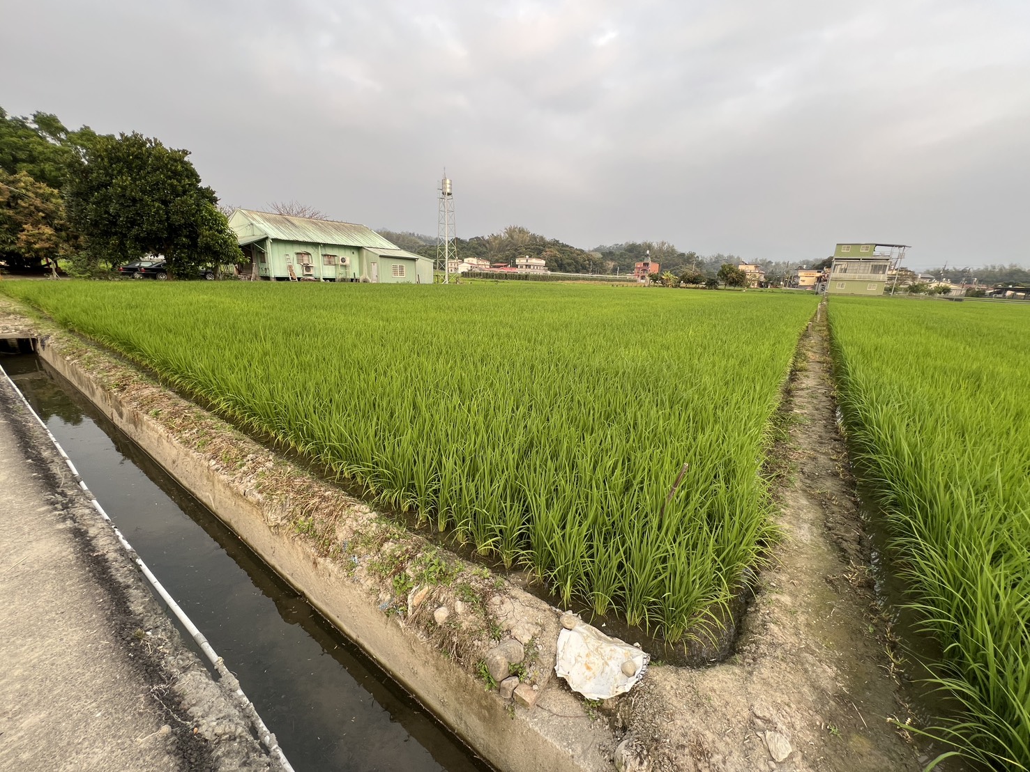 ★高雄美濃★美濃段3.5分超美農地｜地形方正 
