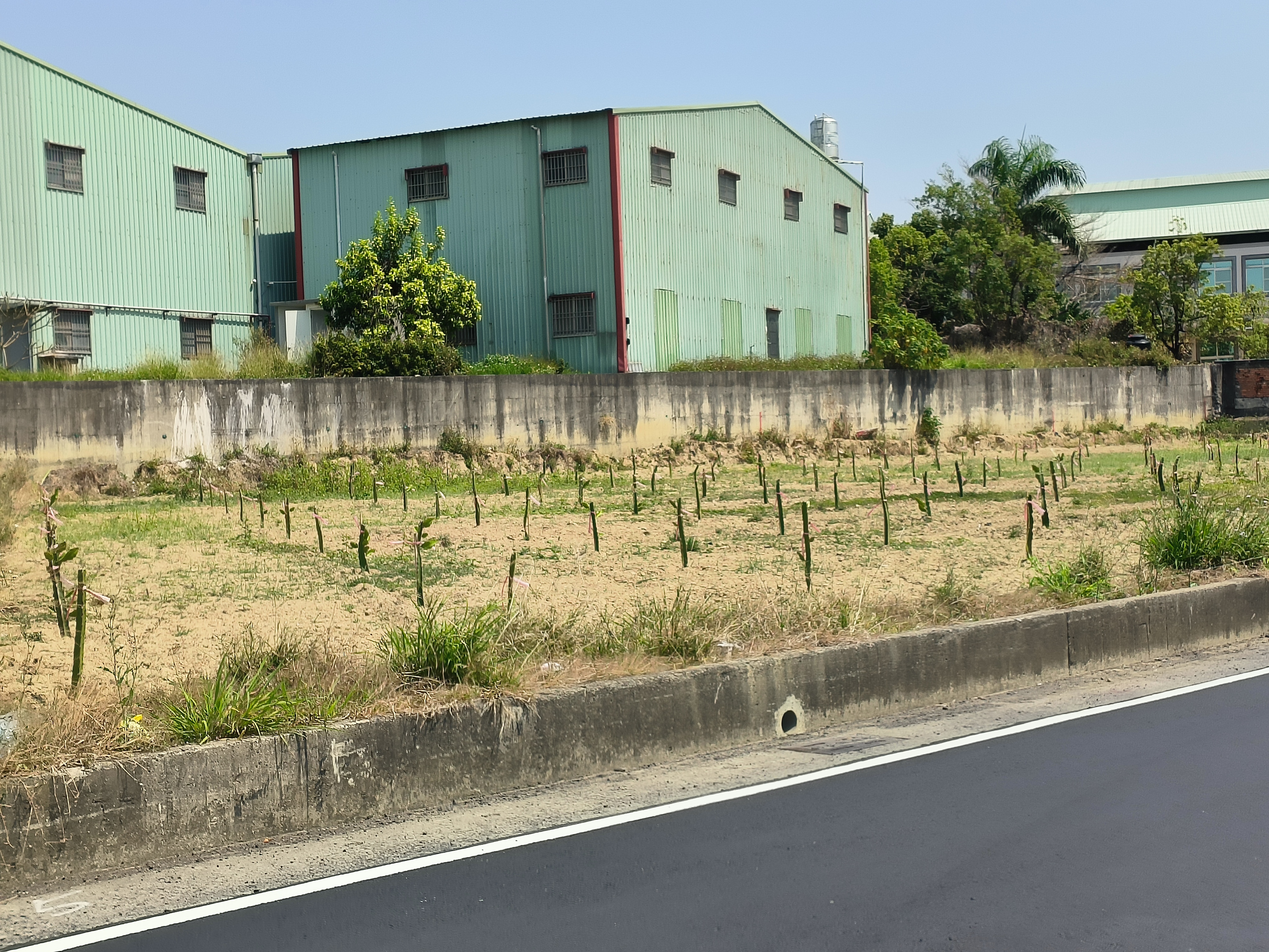 鳥松大面寬8米路都內農地~94坪