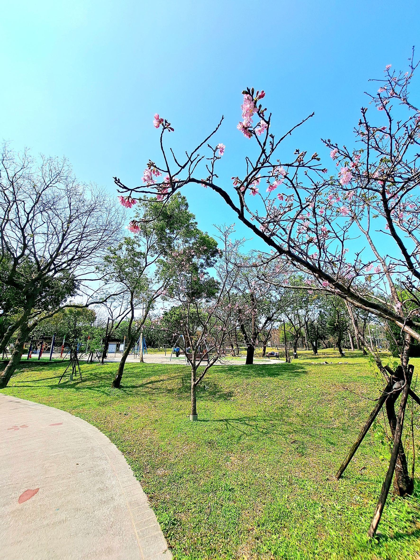 專約🏆永慶羚羚💖世界公園邊間露台三房車