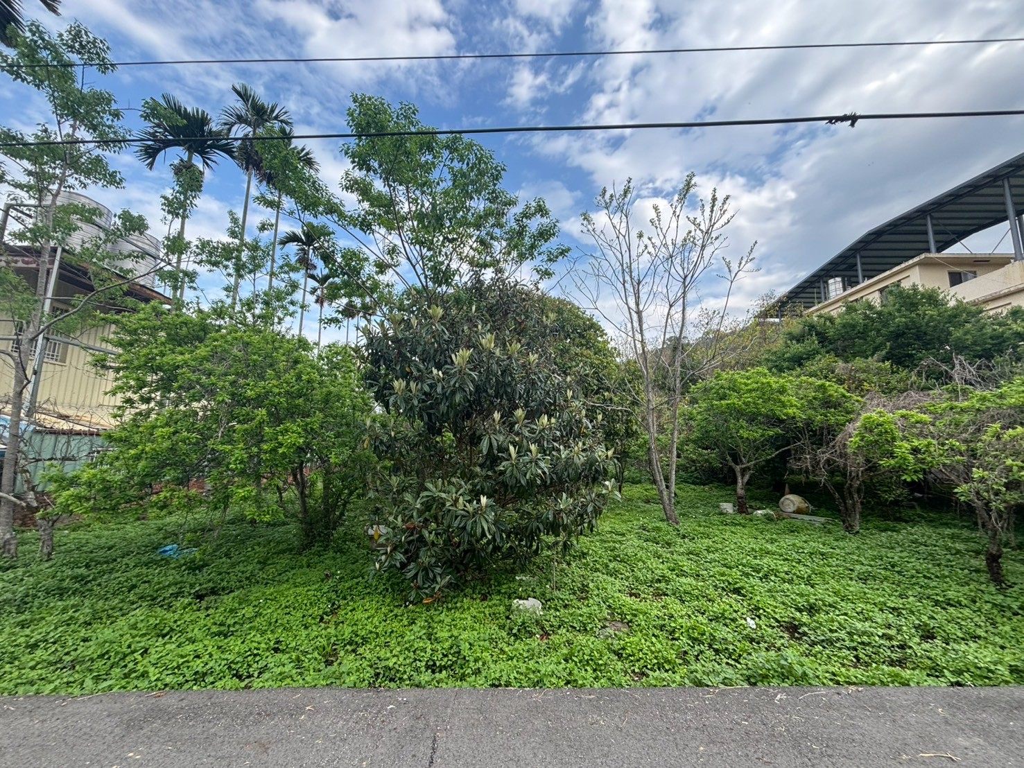 專任東勢大茅埔臨路方正平坦美農地